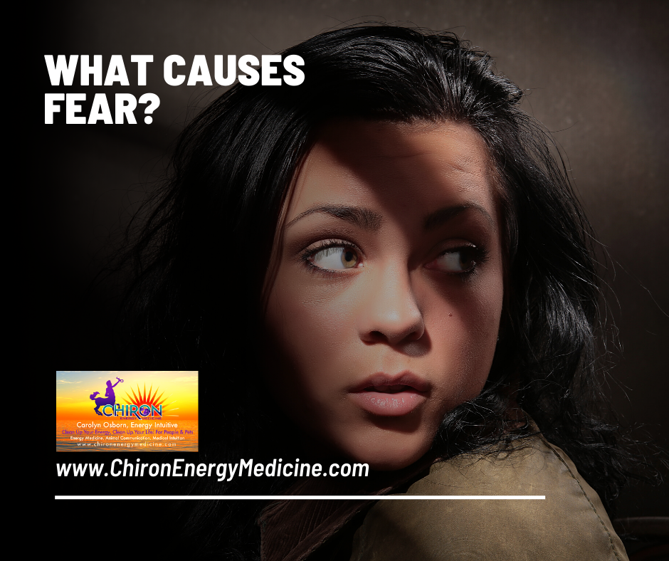 What causes fear? — Chiron Energy Medicine