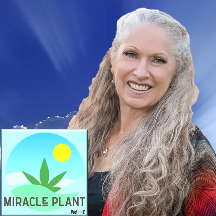 Miracle Plant Interview