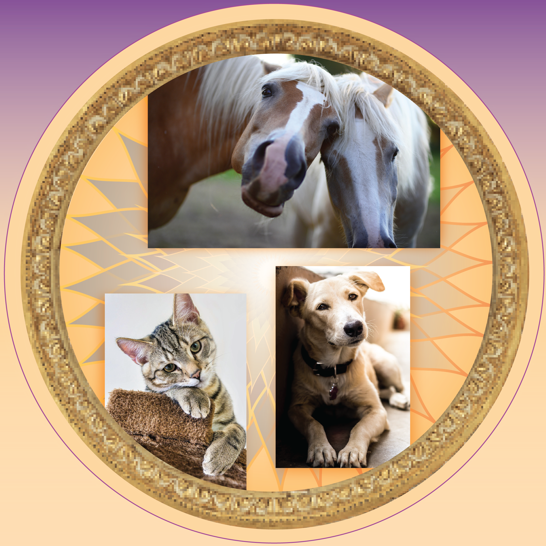 CEM Mirror Programs with Mandala VB copy.png