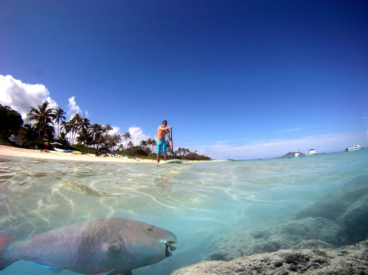 SUP Lessons