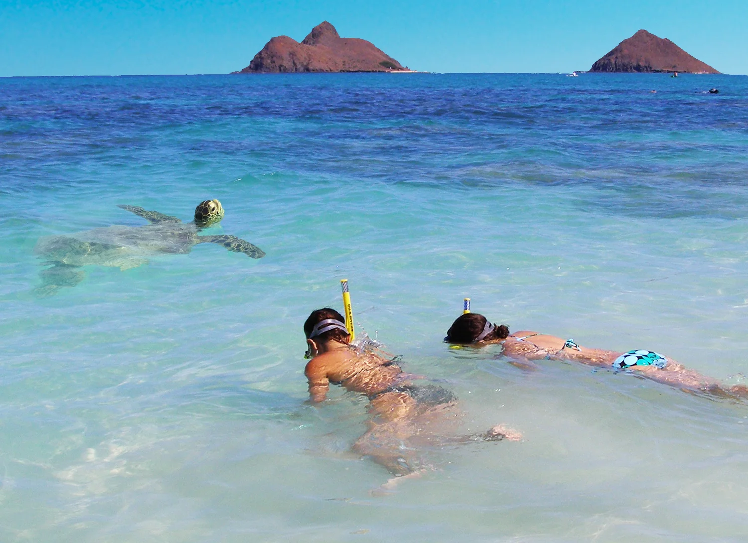 シュノーケルレンタル Kailua Beach Adventures