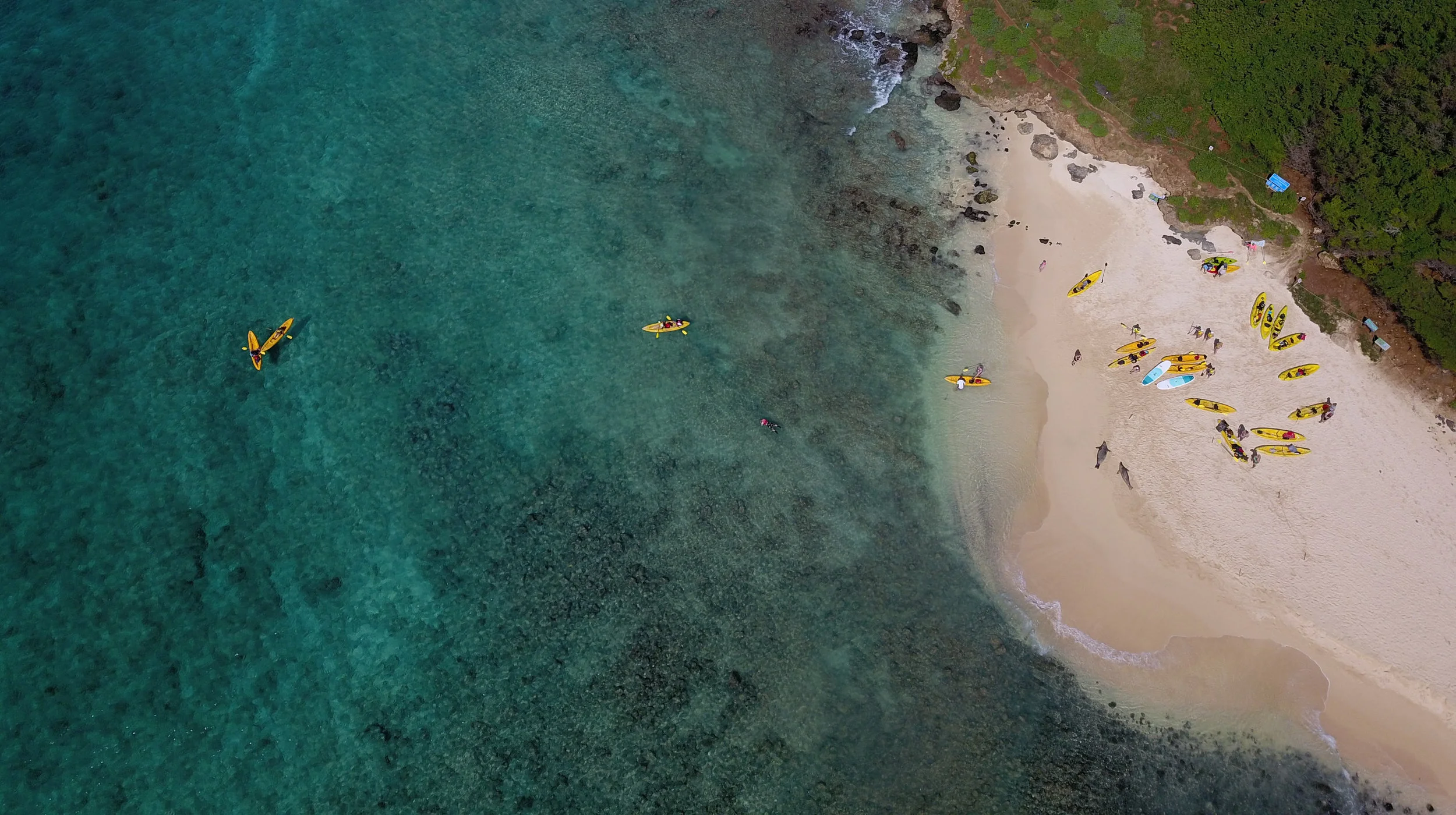 カヤックレンタル Kailua Beach Adventures