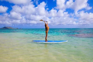 Paddleboards