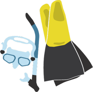 Snorkel Set $25