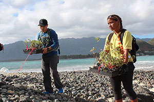 Replanting Native Plants on the Mokulua Islands (Copy)