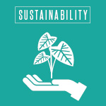 A white hand holding a plant with large leaves, symbolizing sustainability, on a teal background.