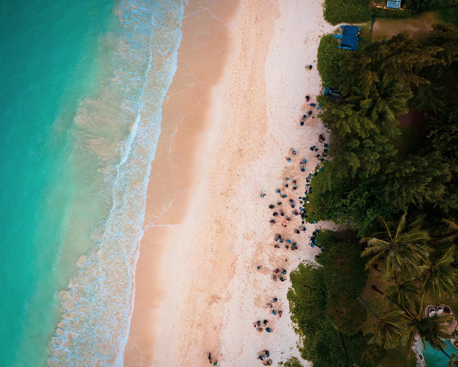 Earth Day Beach Clean-Up with Le Jardin