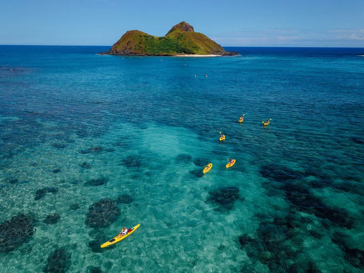 Twin Islands Kayak Tour