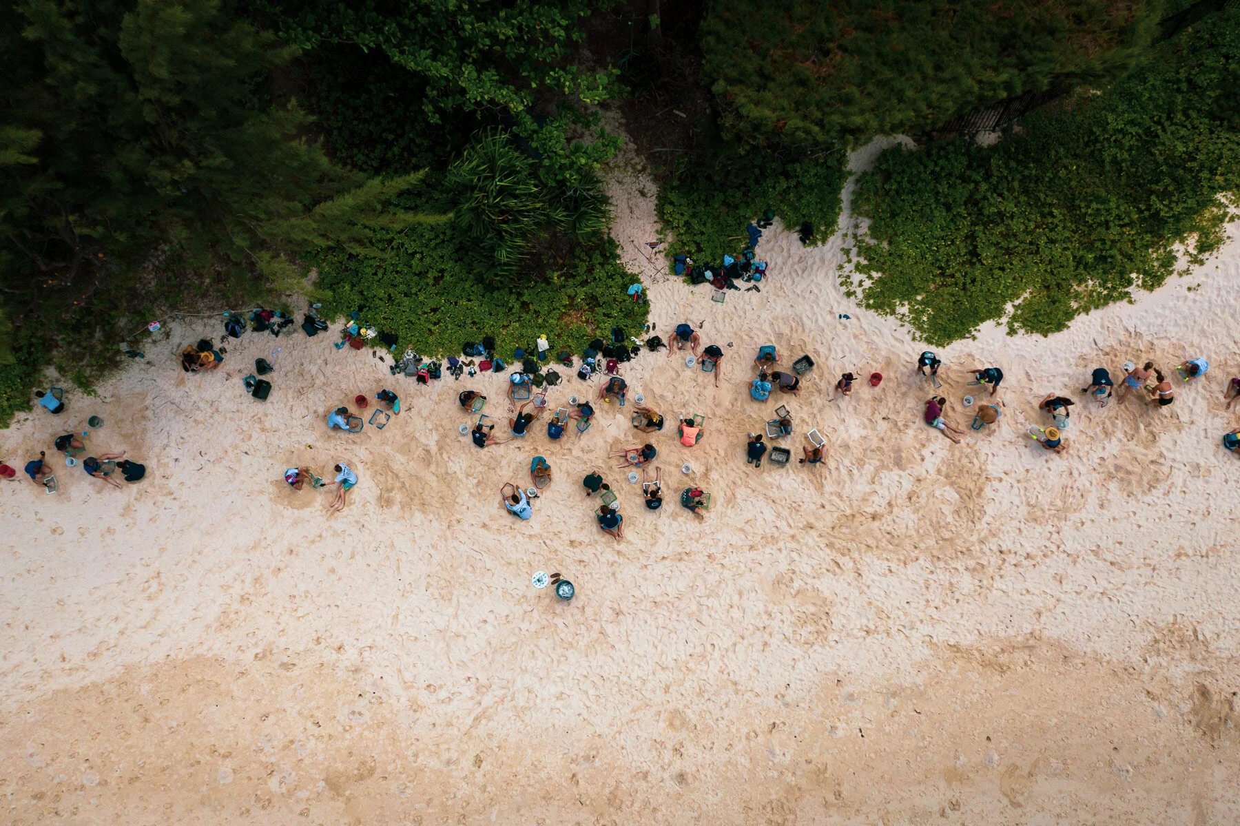 beach-clean-up-kailua-beach.jpg