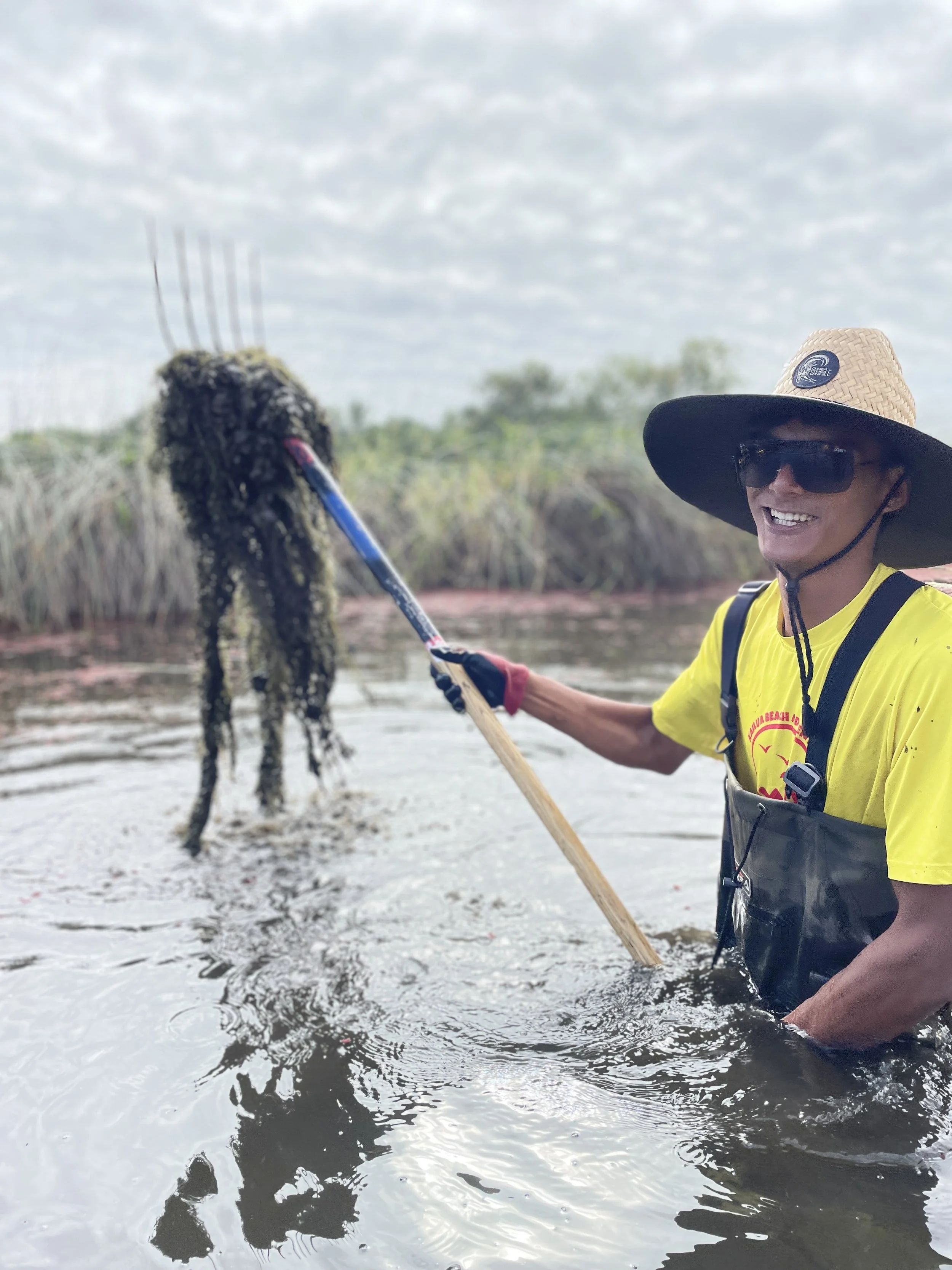 Hamakua Marsh Restoration is for the Birds! 