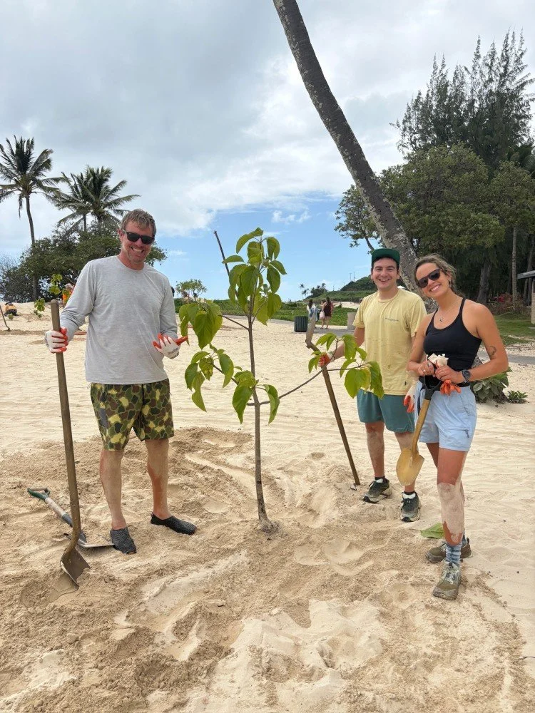 Growing a Stronger Kailua Beach: Dune Restoration Partnership