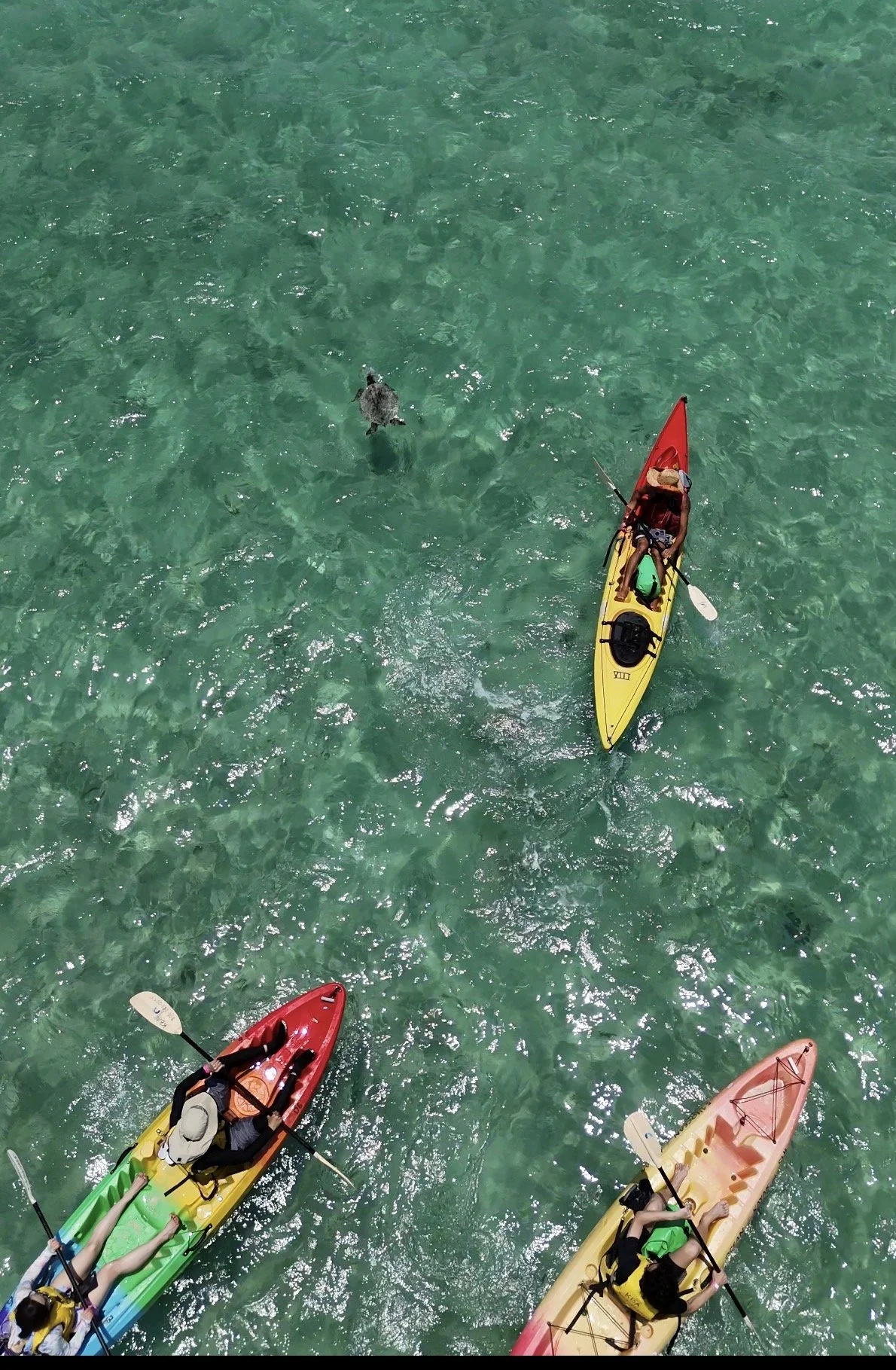 Kayaking in Kailua, Oahu 101: Best spots, tips &amp; More
