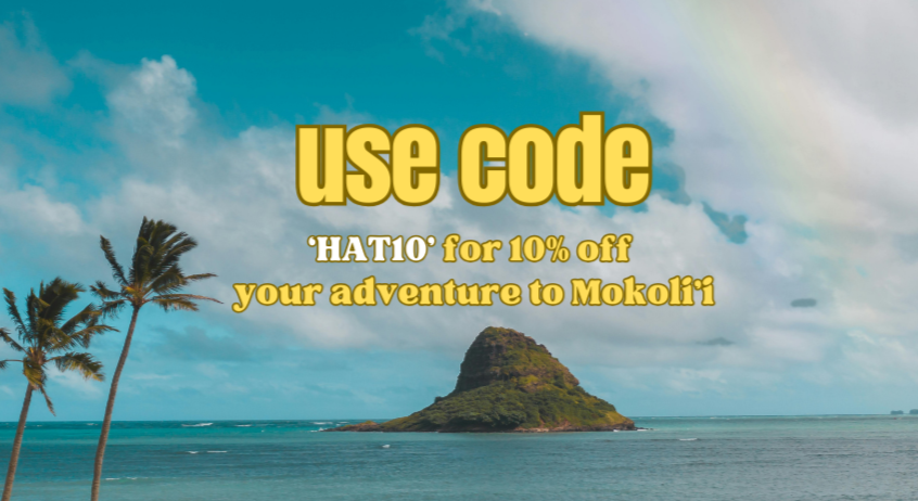 A tropical island with a mountain, palm trees, ocean, and a cloudy sky with a rainbow in the background, promoting a discount..