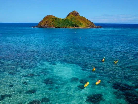 A scenic ocean view with Moku Nui in the background, clear blue water in the foreground, and four yellow kayaks on the water.
