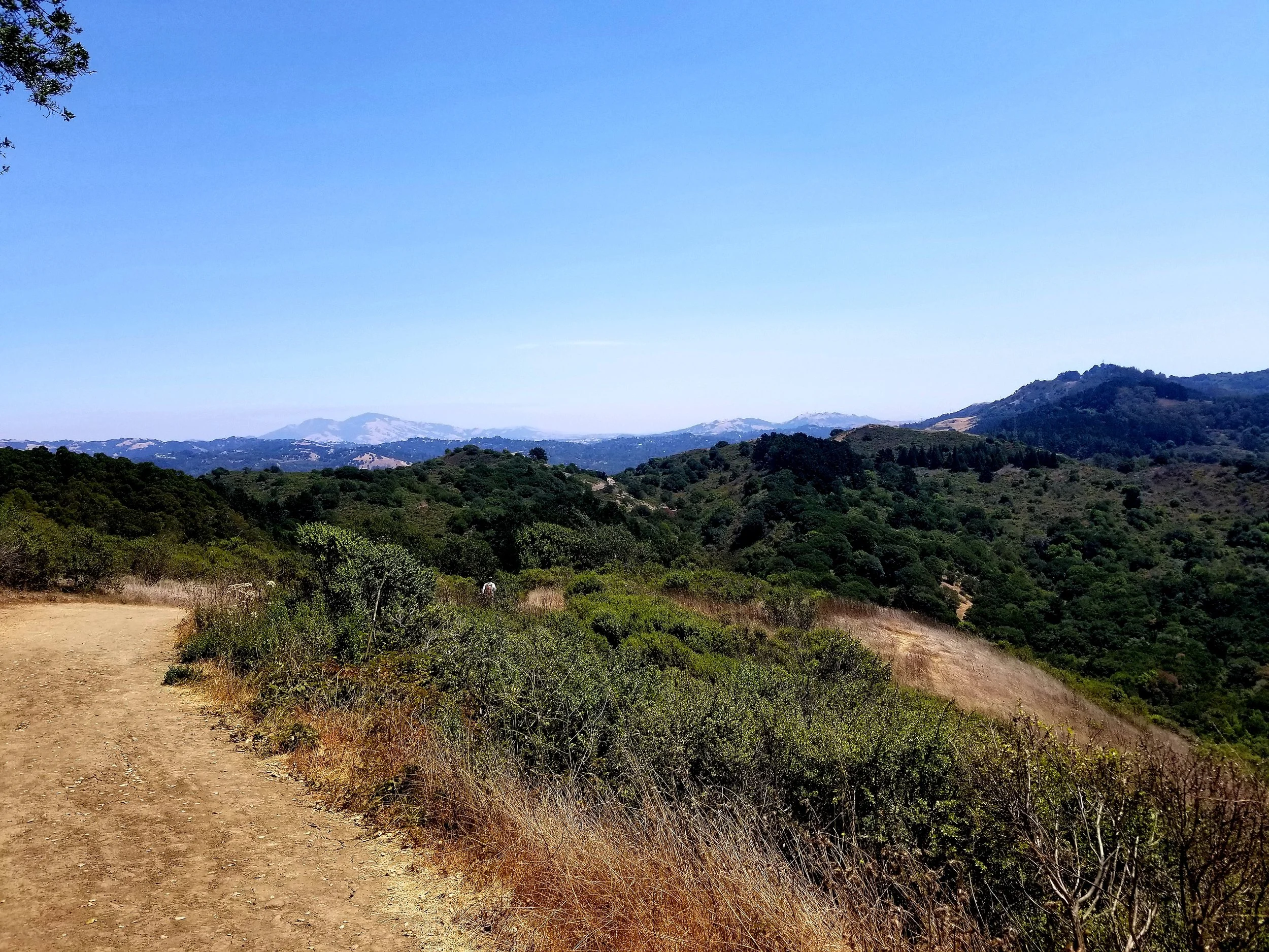 In the hills greeting the Divine 