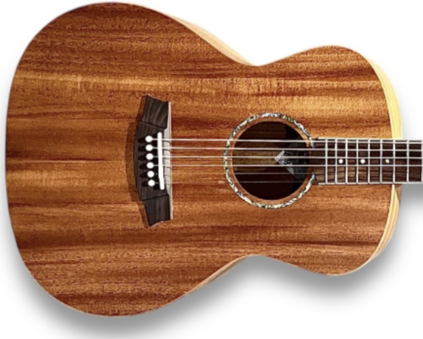 Cole Clark SAN1 All Mahogany