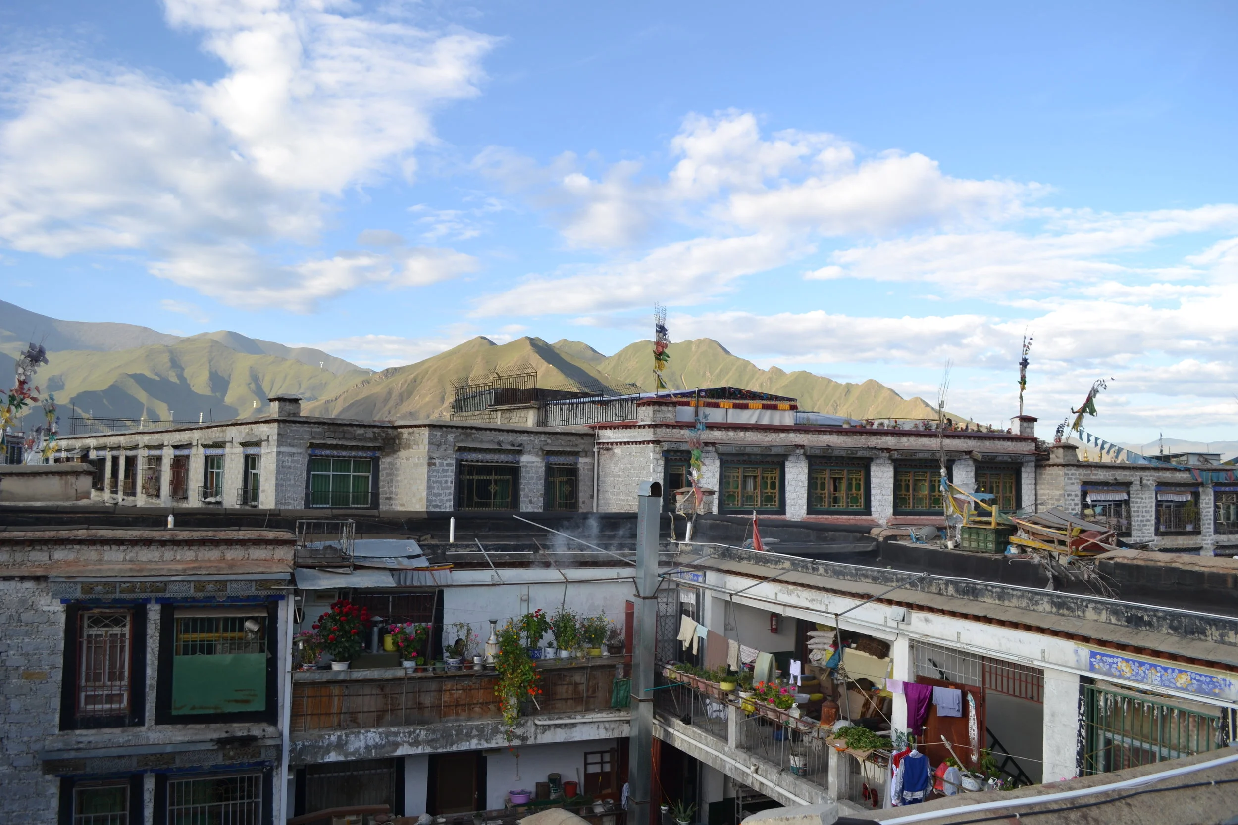 DSC_0016.JPG
