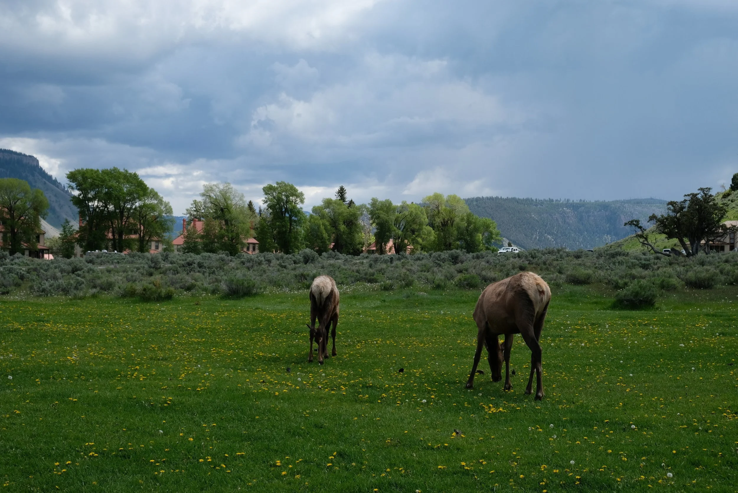 DSCF2276.jpg