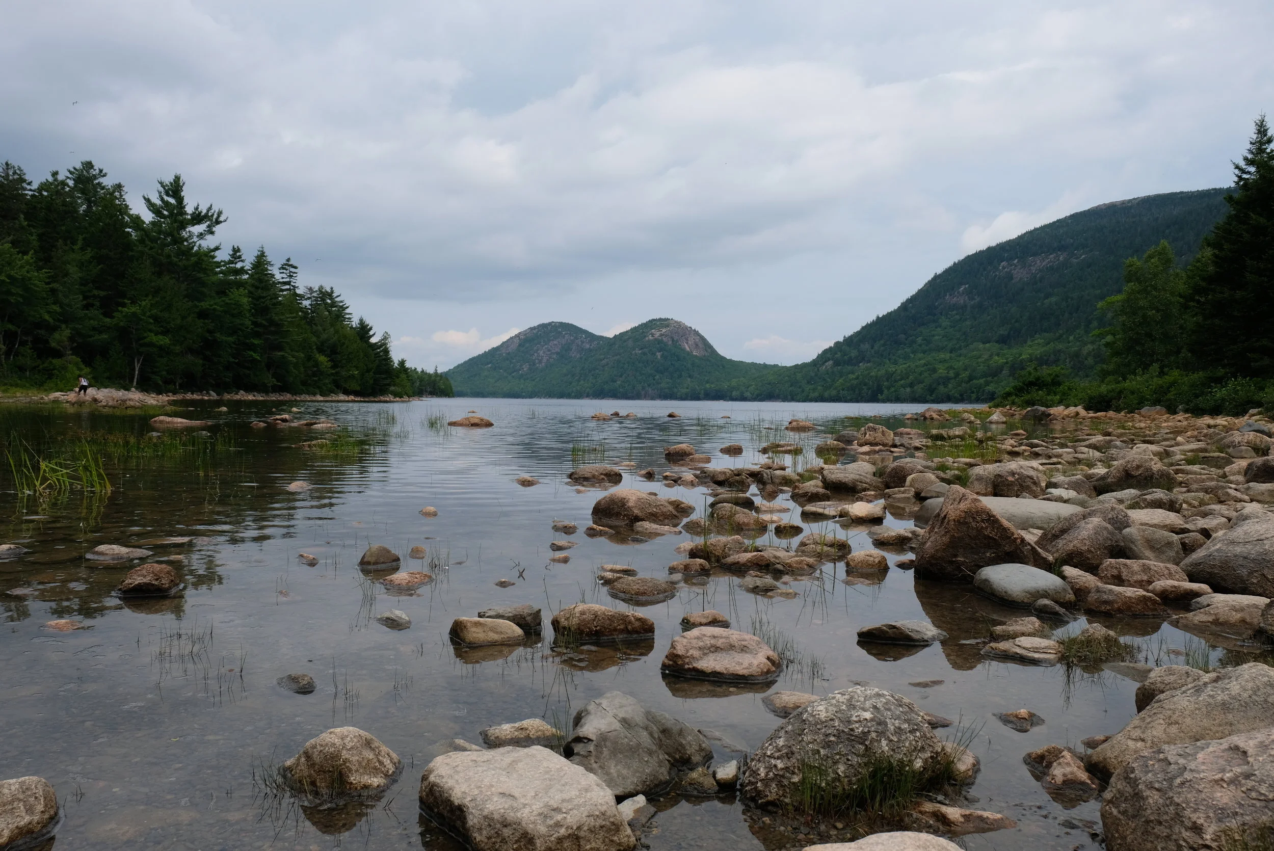 DSCF3779.JPG