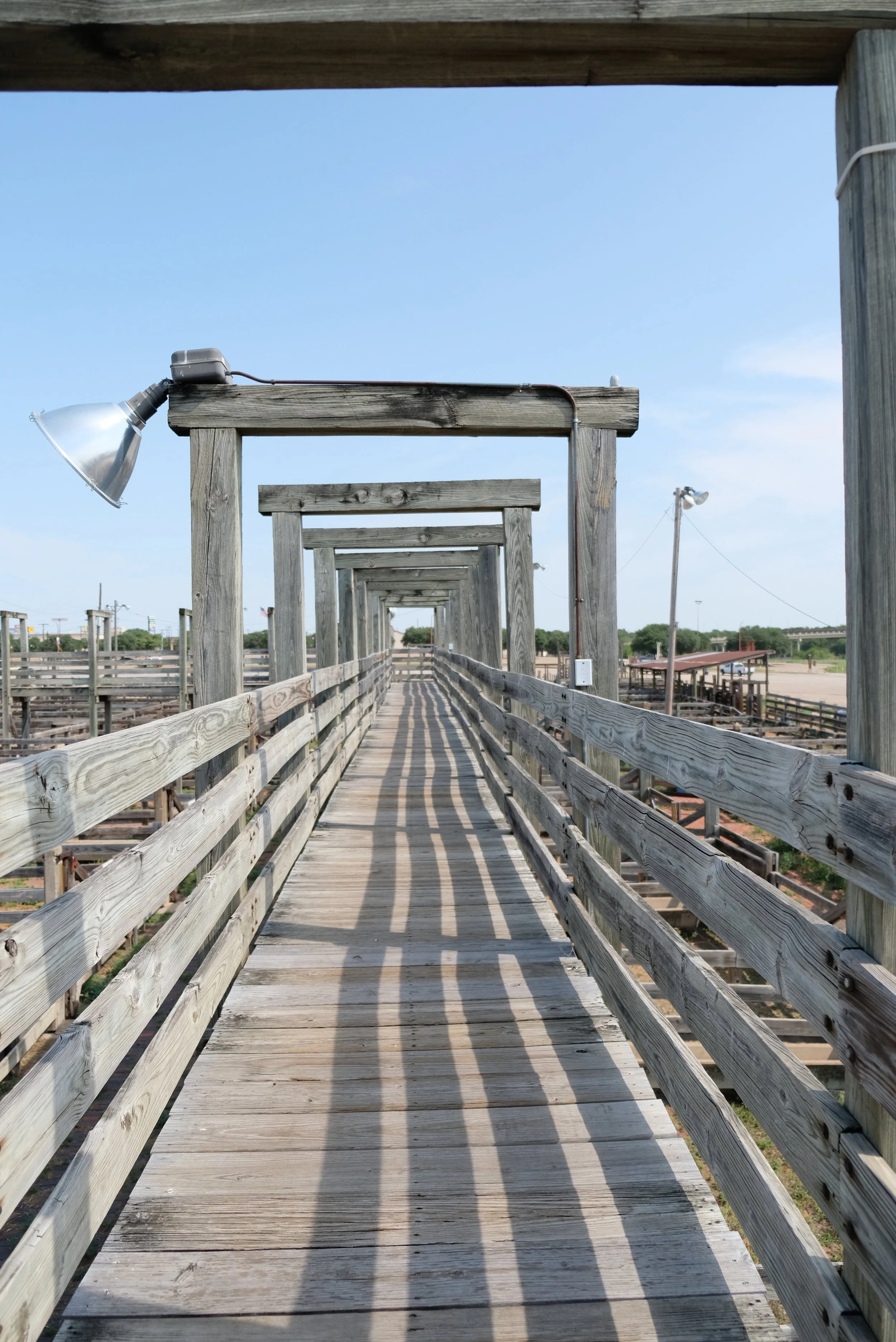 DSCF4364.JPG