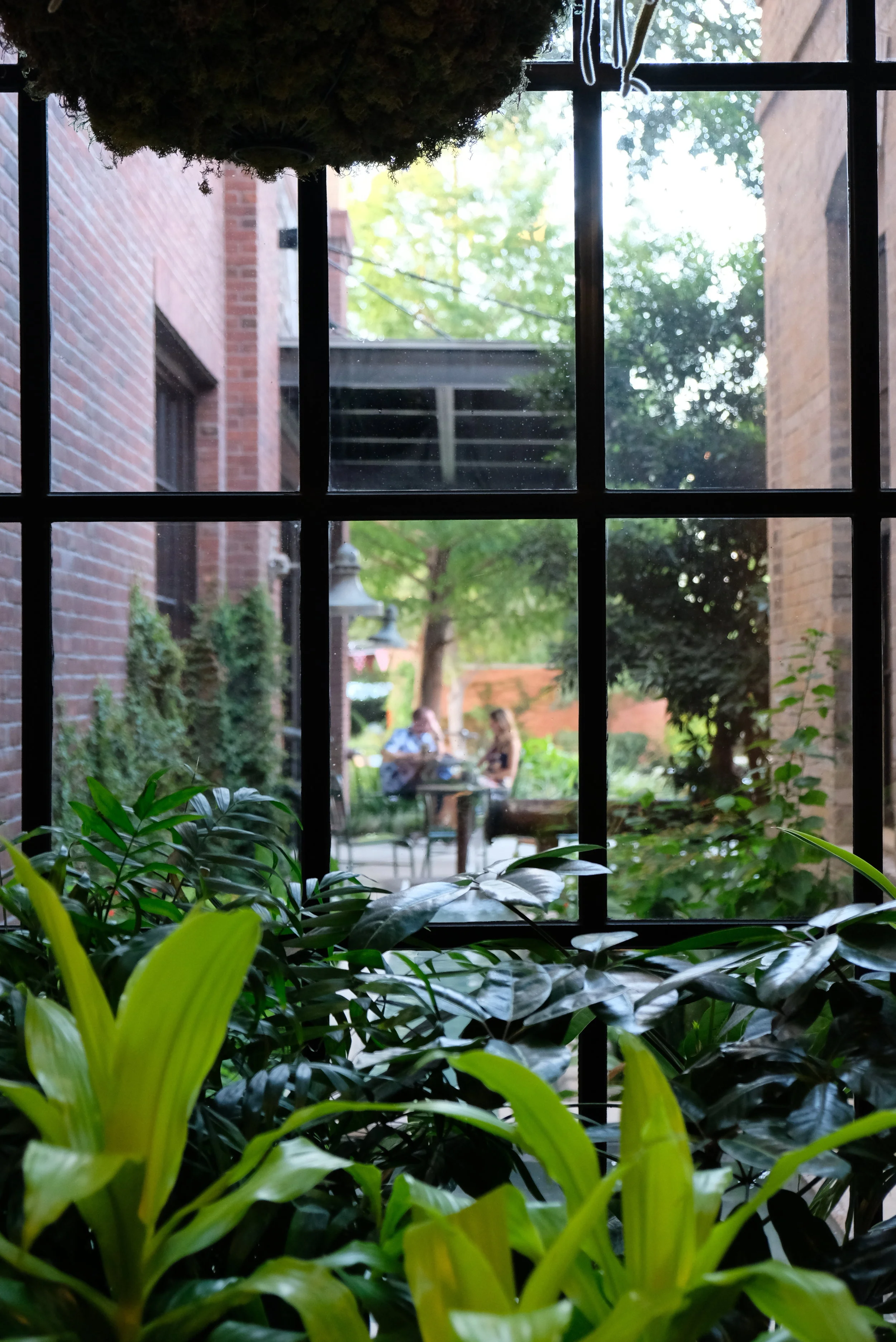 DSCF4490.JPG