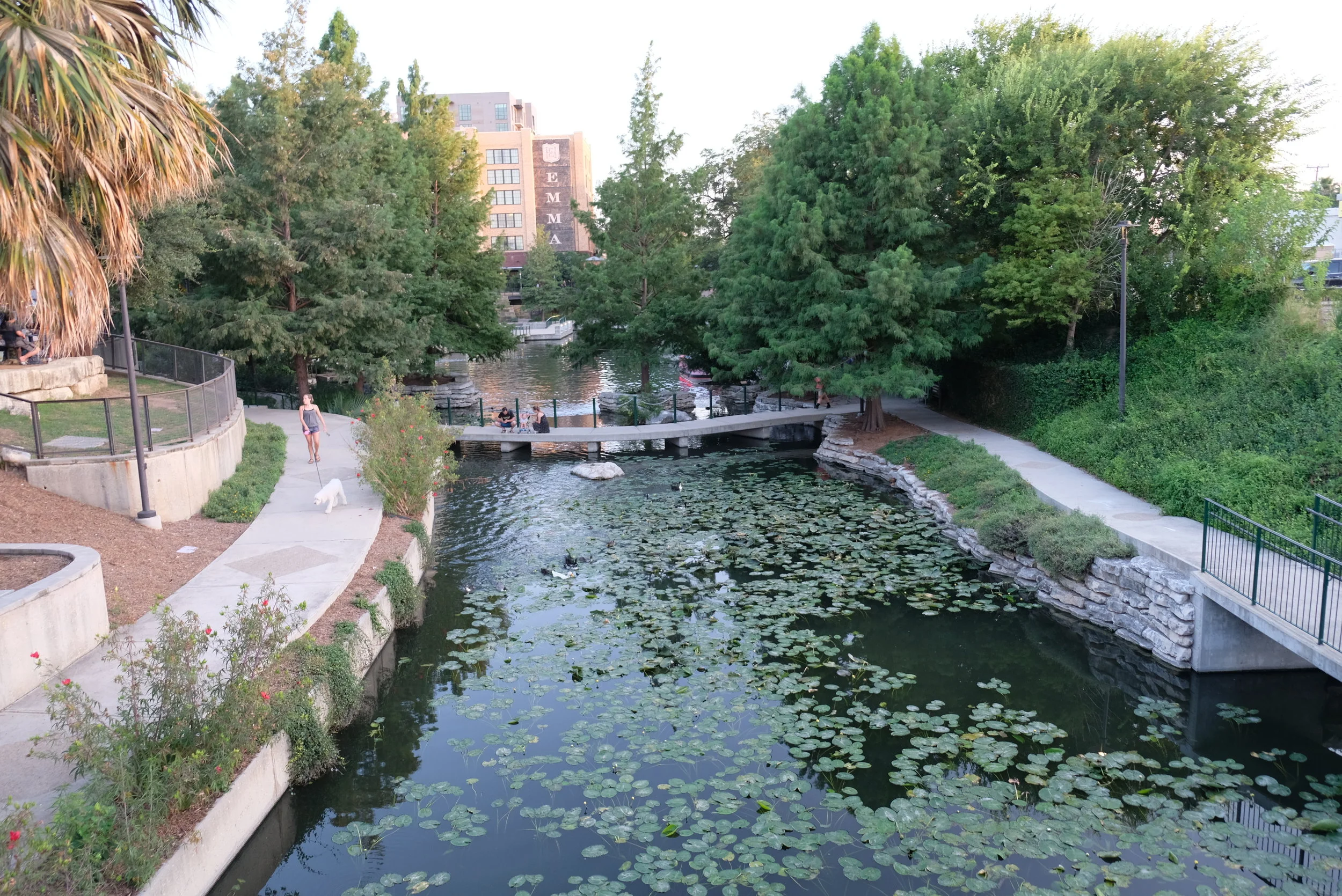 DSCF4500.JPG