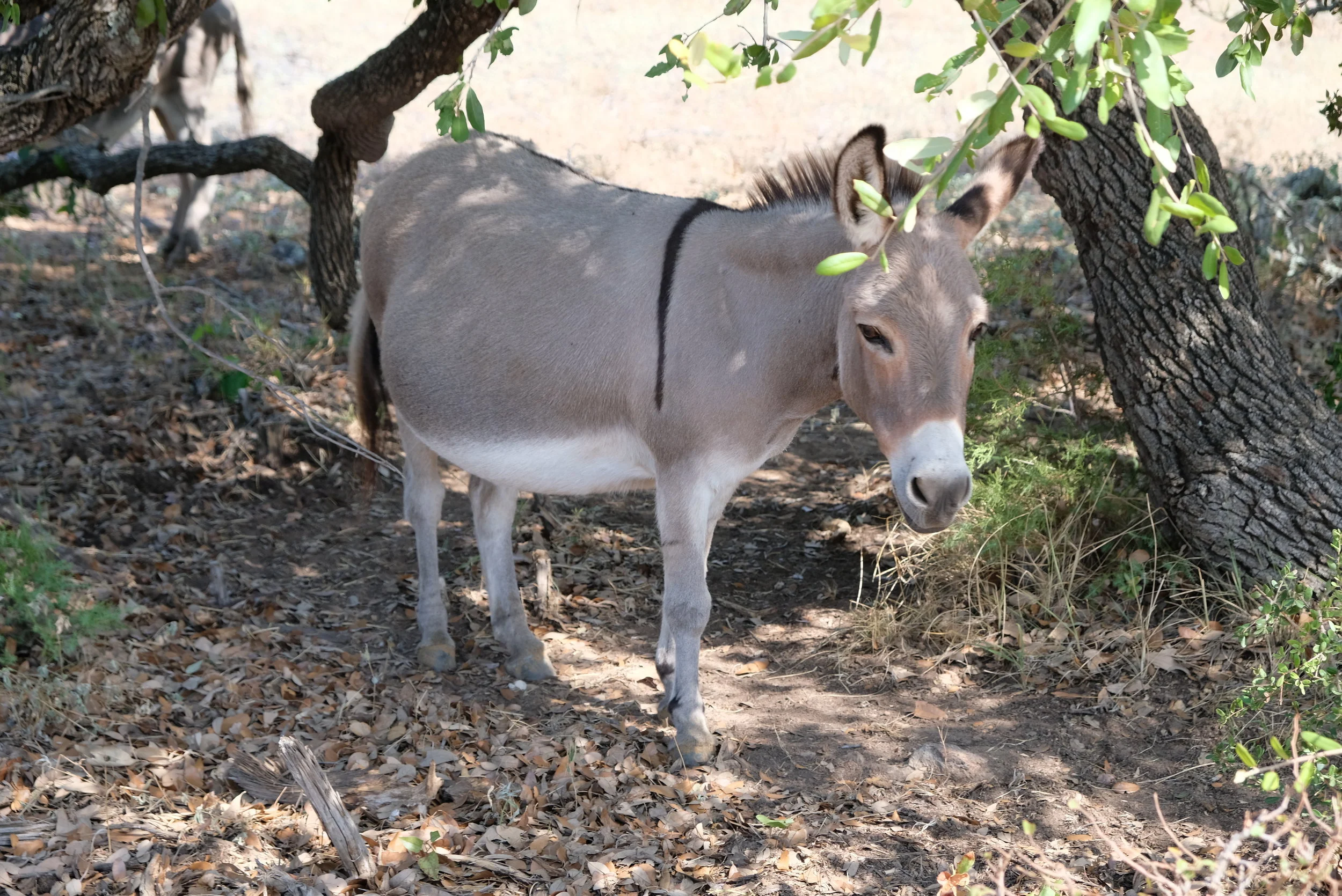 DSCF4507.JPG