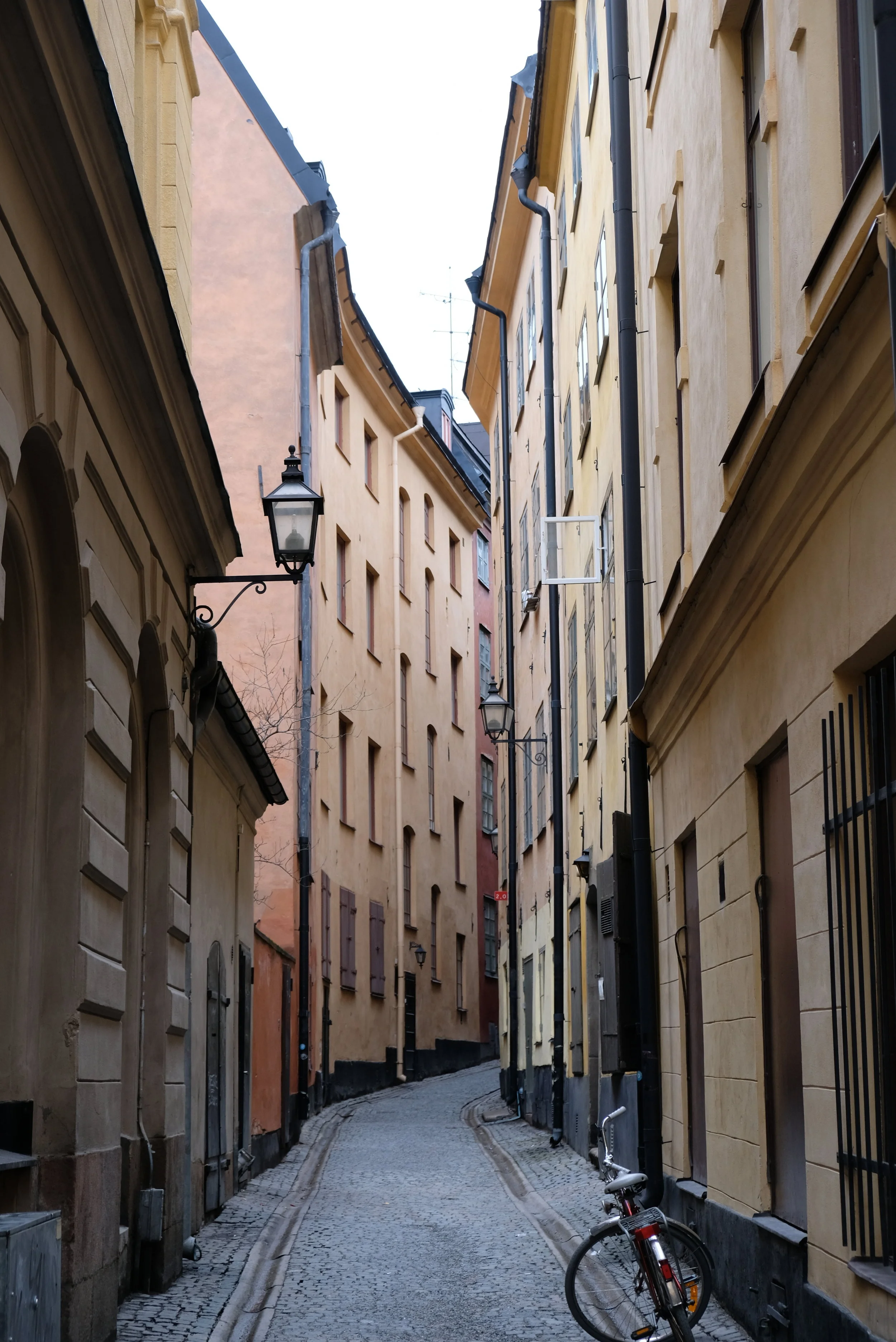 DSCF5889.JPG