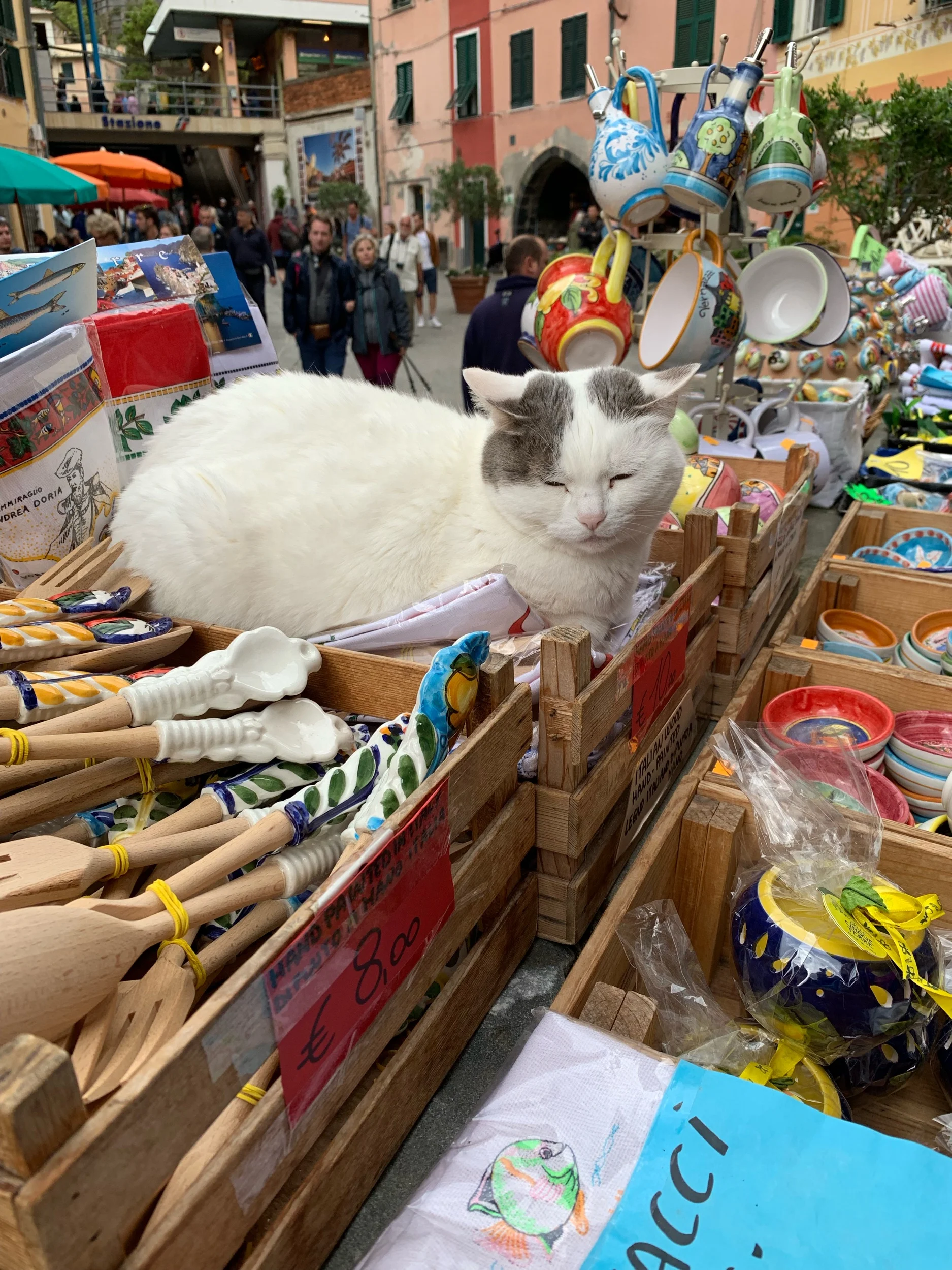 IMG_2886.jpeg