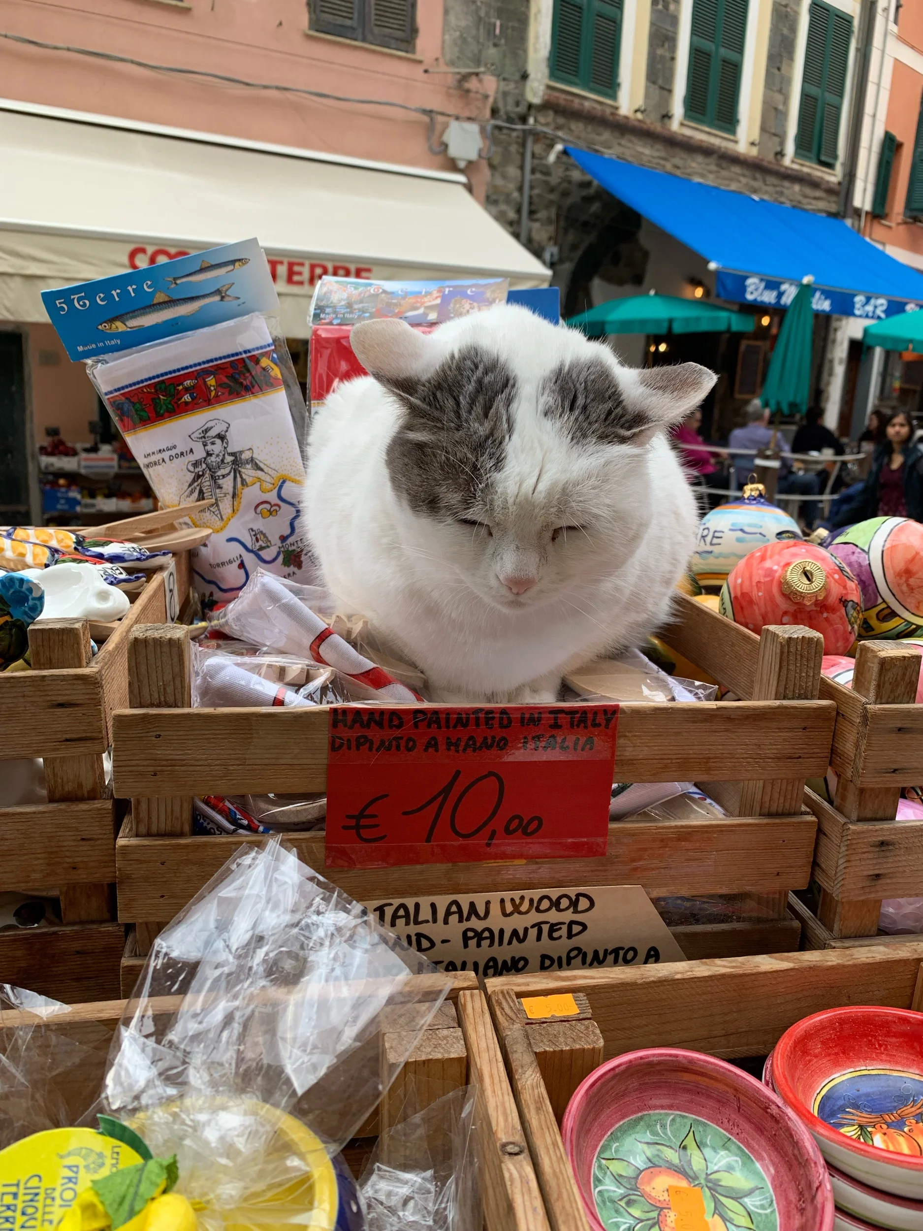 IMG_2888.jpeg