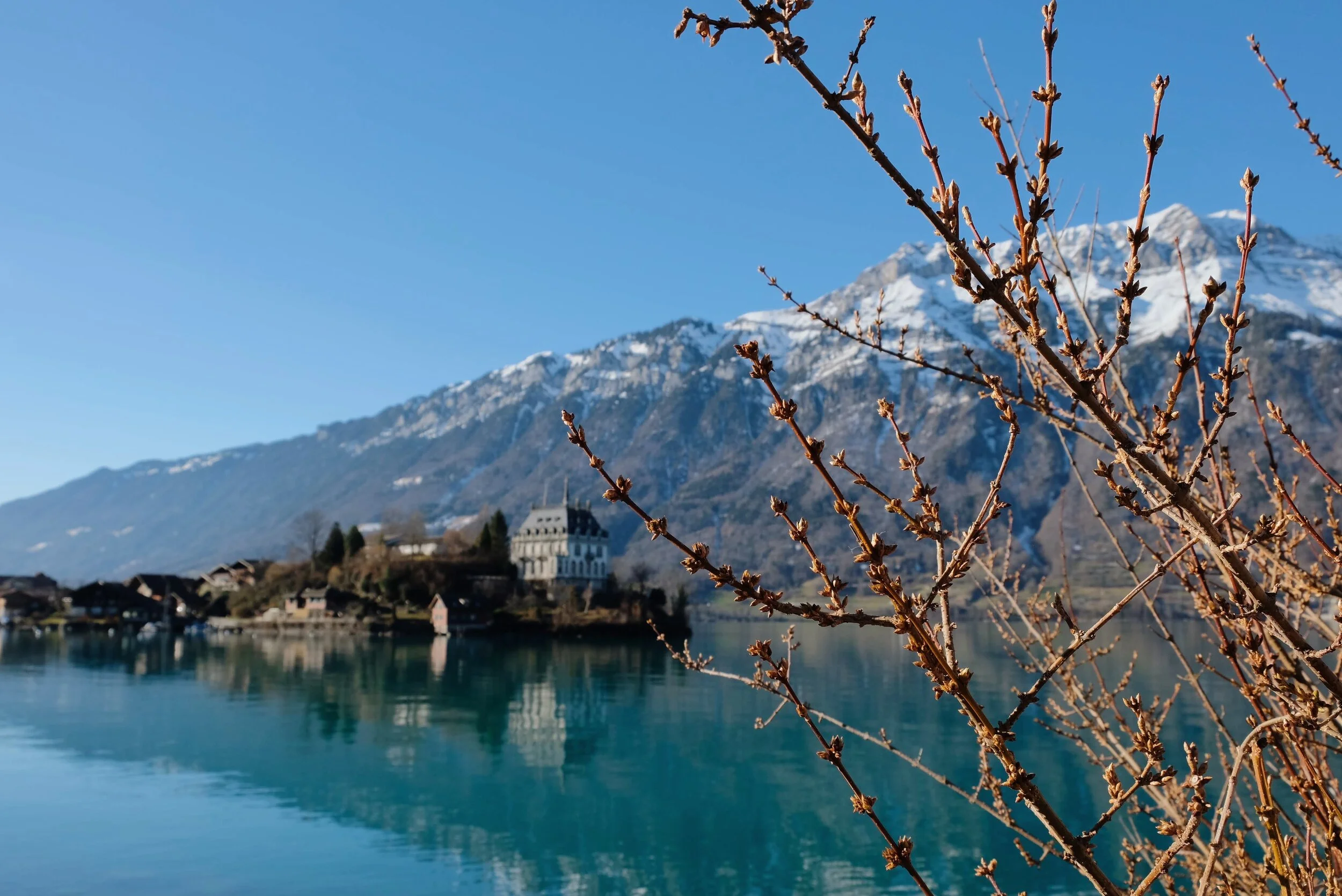 Switzerland. February 2020