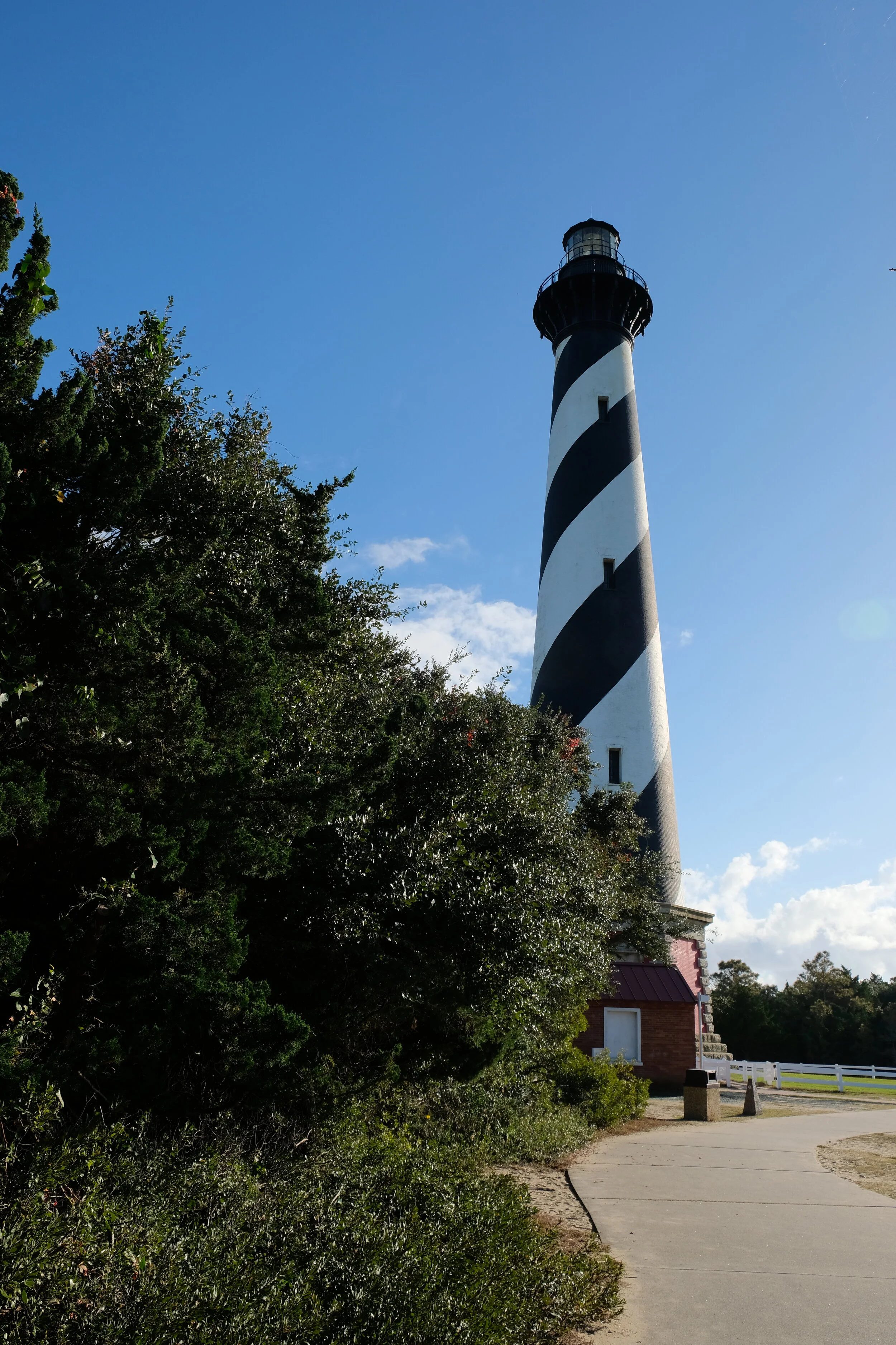 DSCF8650.JPG