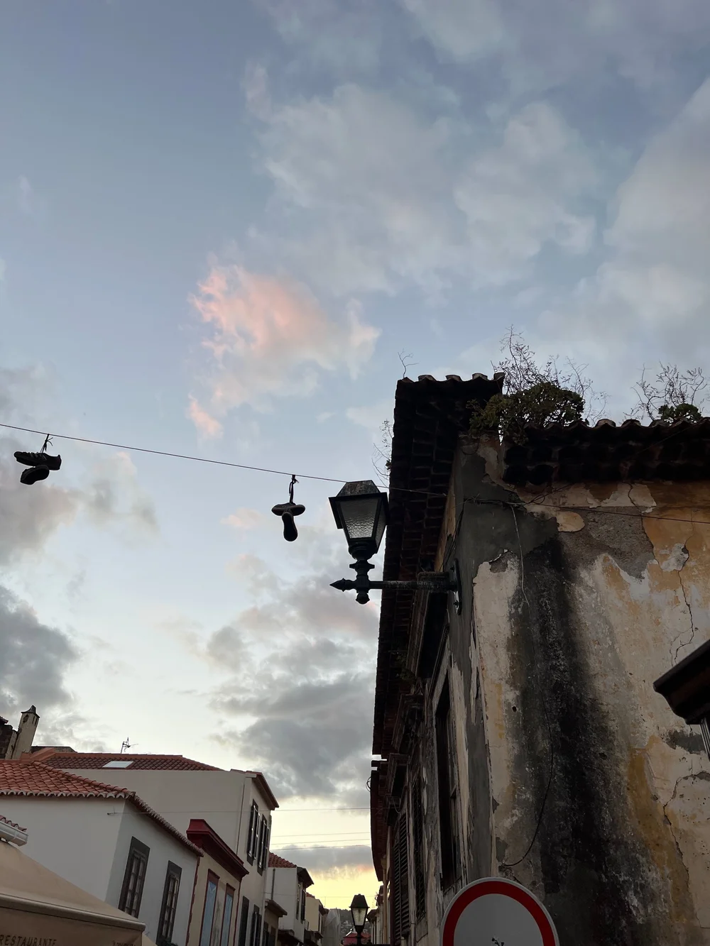 C099CAE1-3DF4-4A8D-A41D-74C7EAB7F6AC 2.JPG