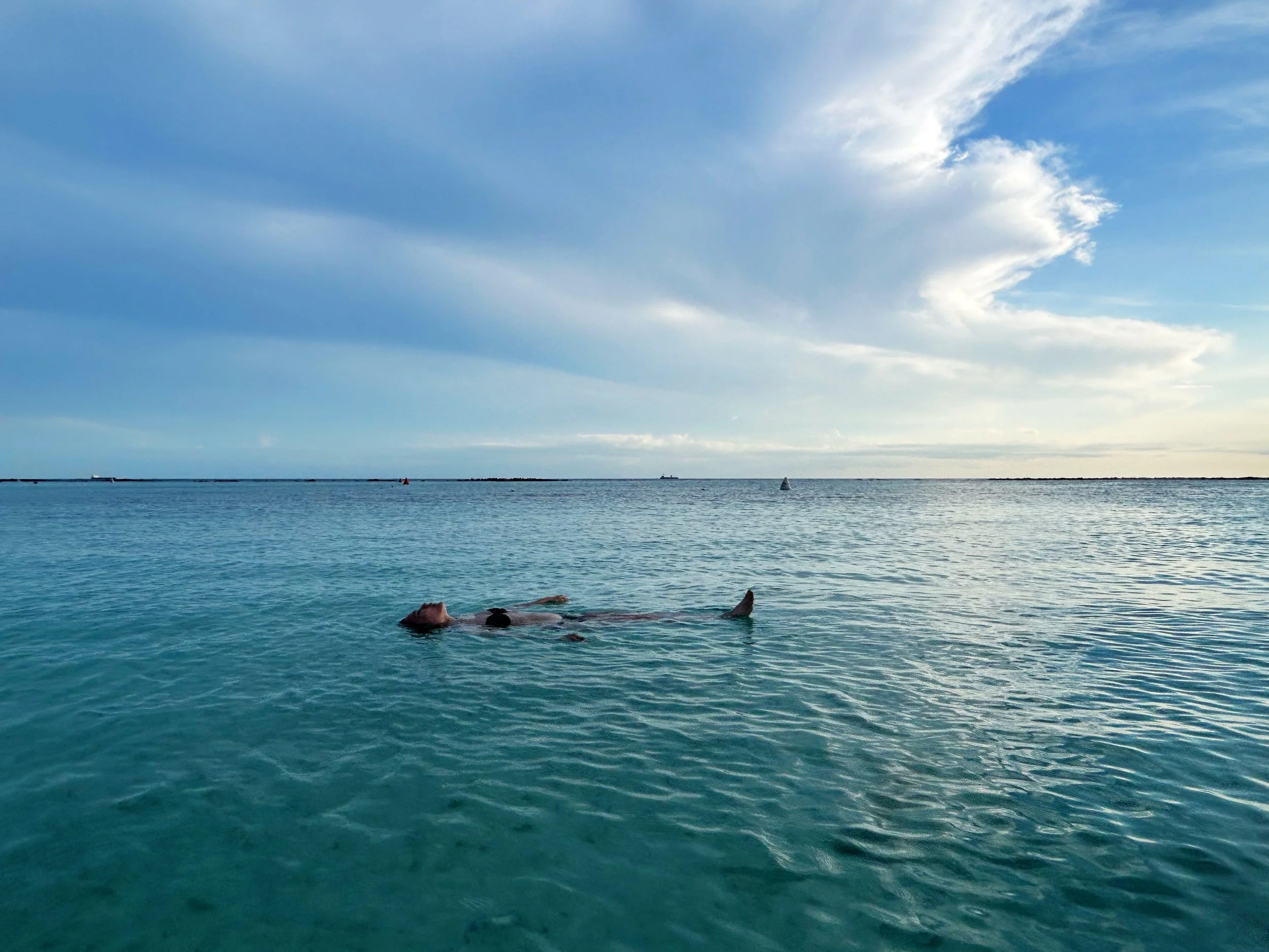 Aruba. October 2025.