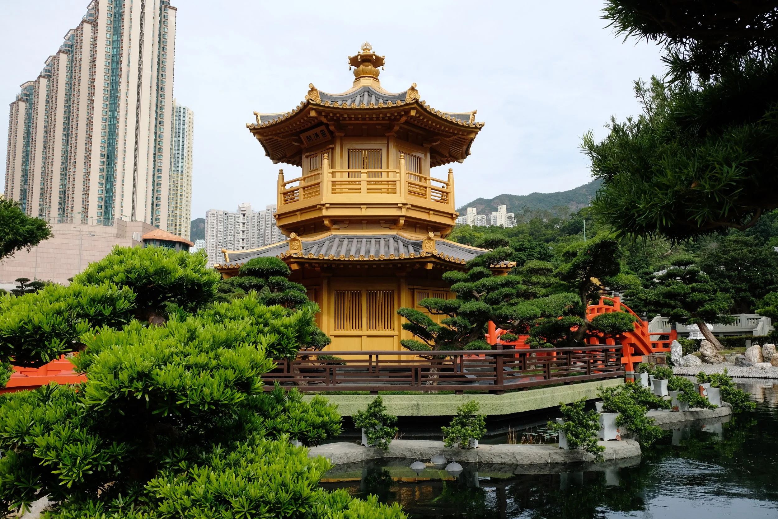 Hong Kong and Guangdong. November 2025.