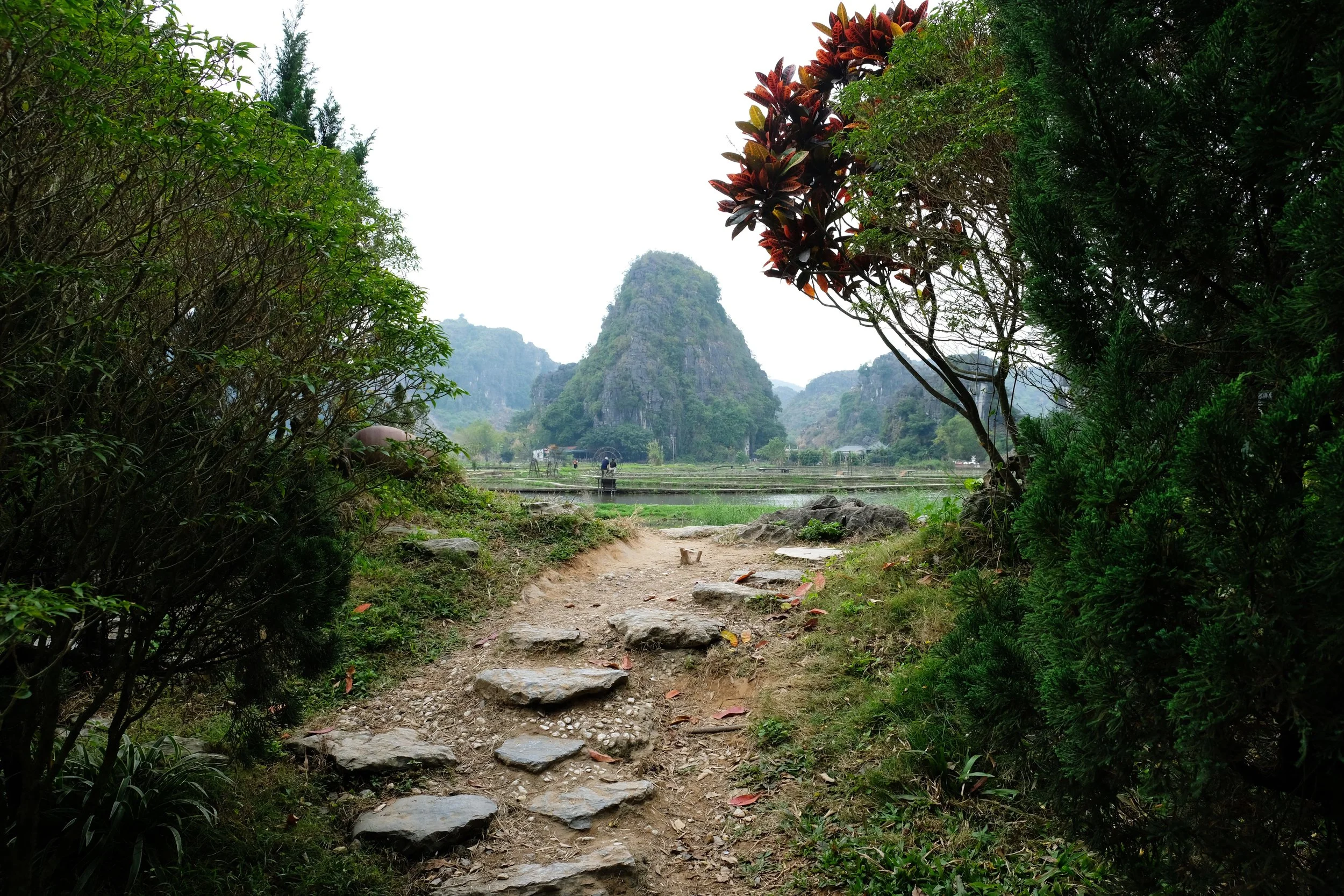 Vietnam. January 2026.