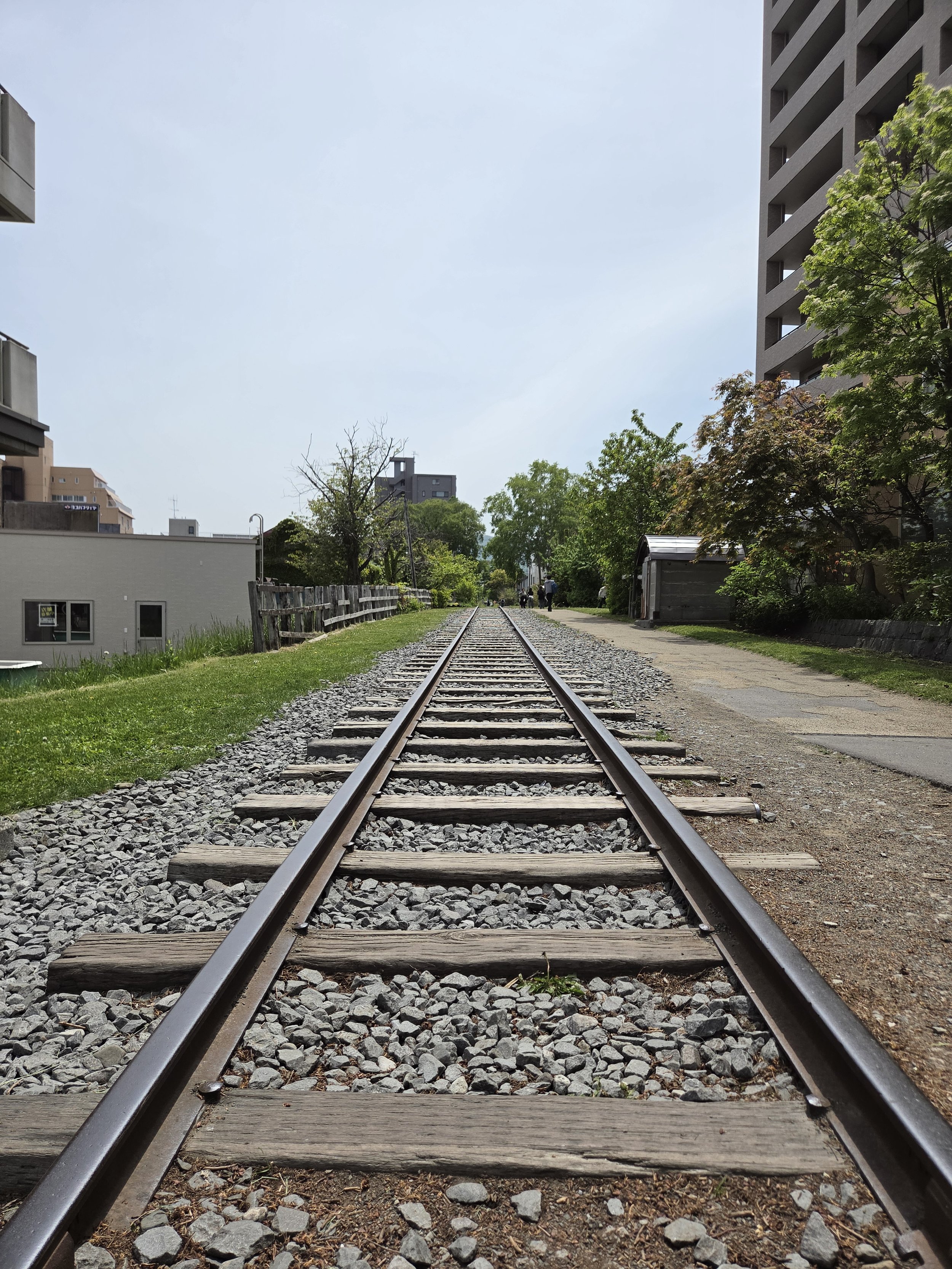 20260523_114144.jpg