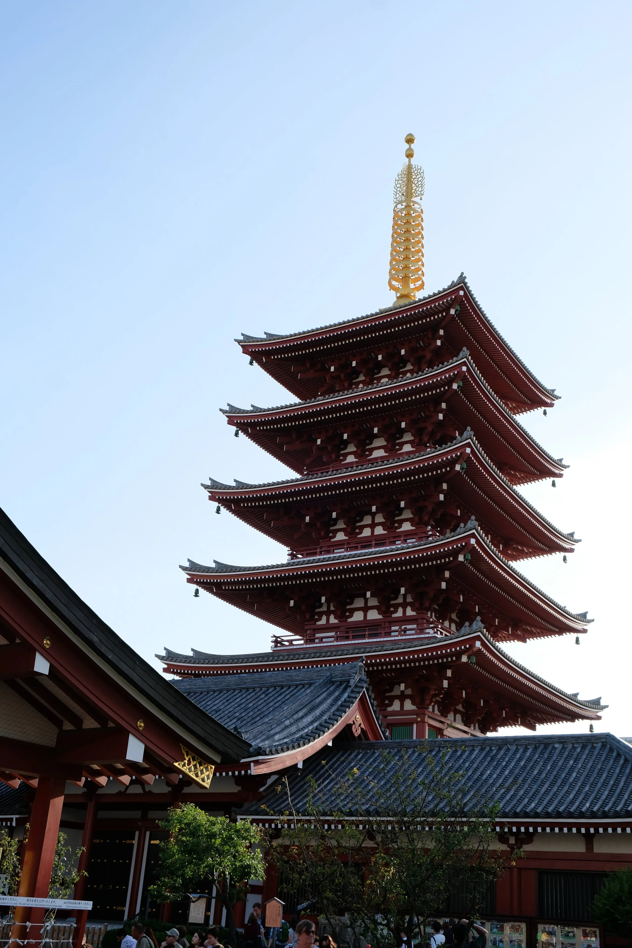 DSCF0922.JPG