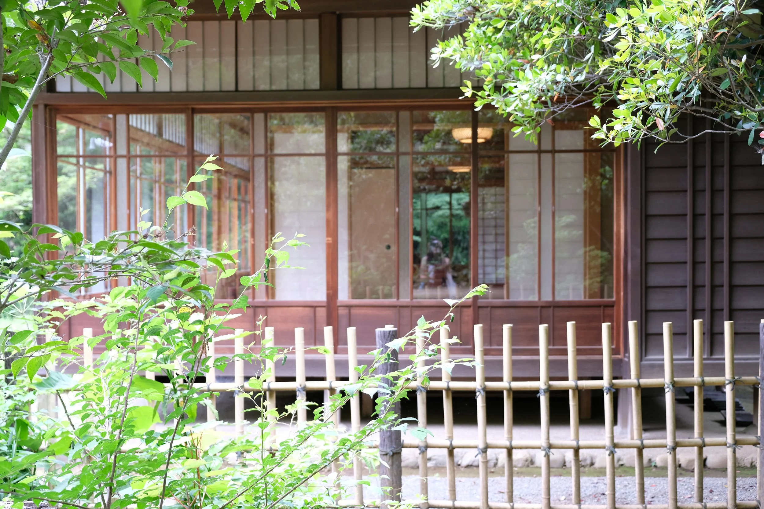 DSCF1016.JPG