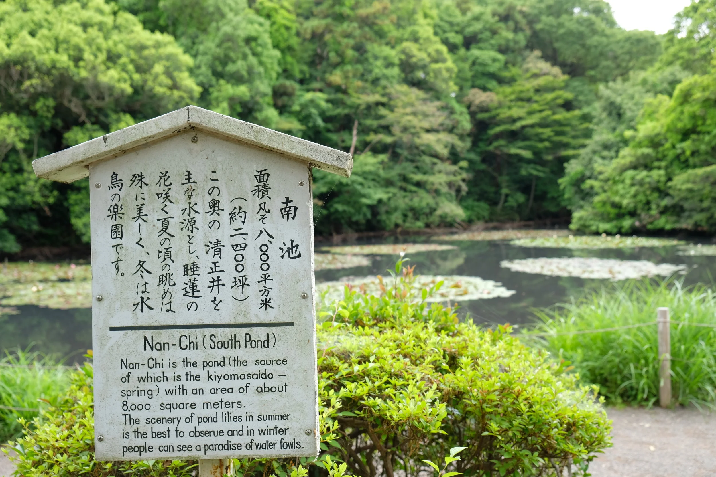 DSCF1033.JPG