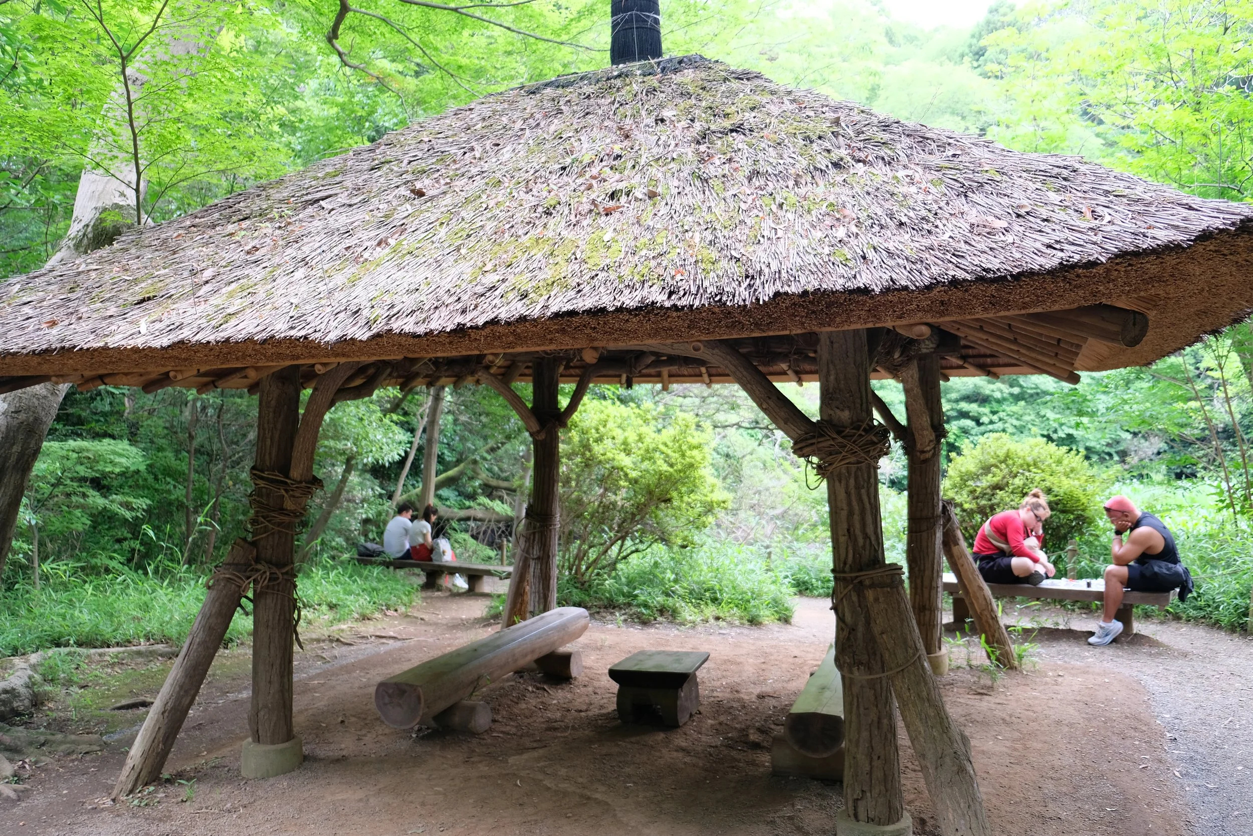 DSCF1048.JPG