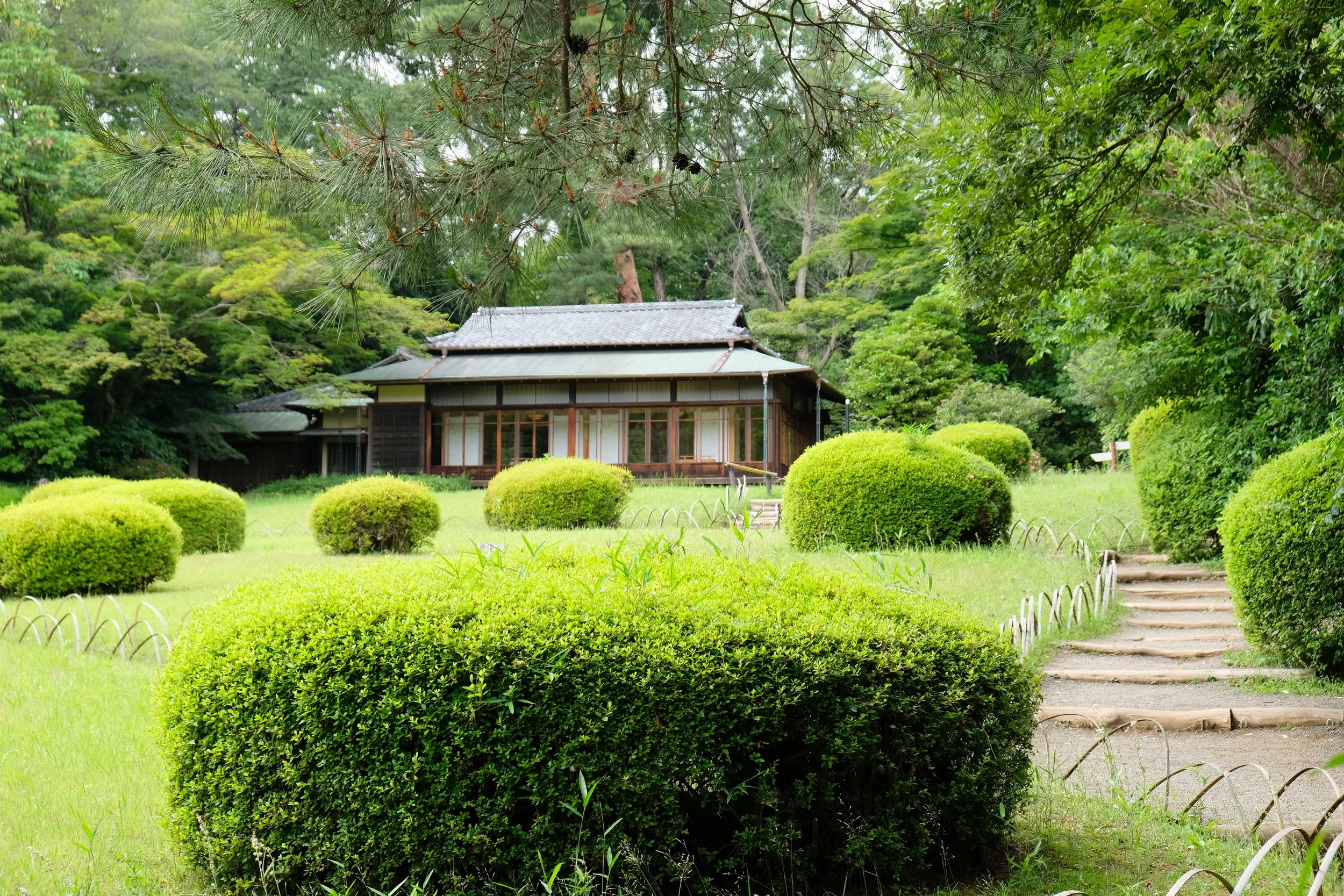 DSCF1054.JPG