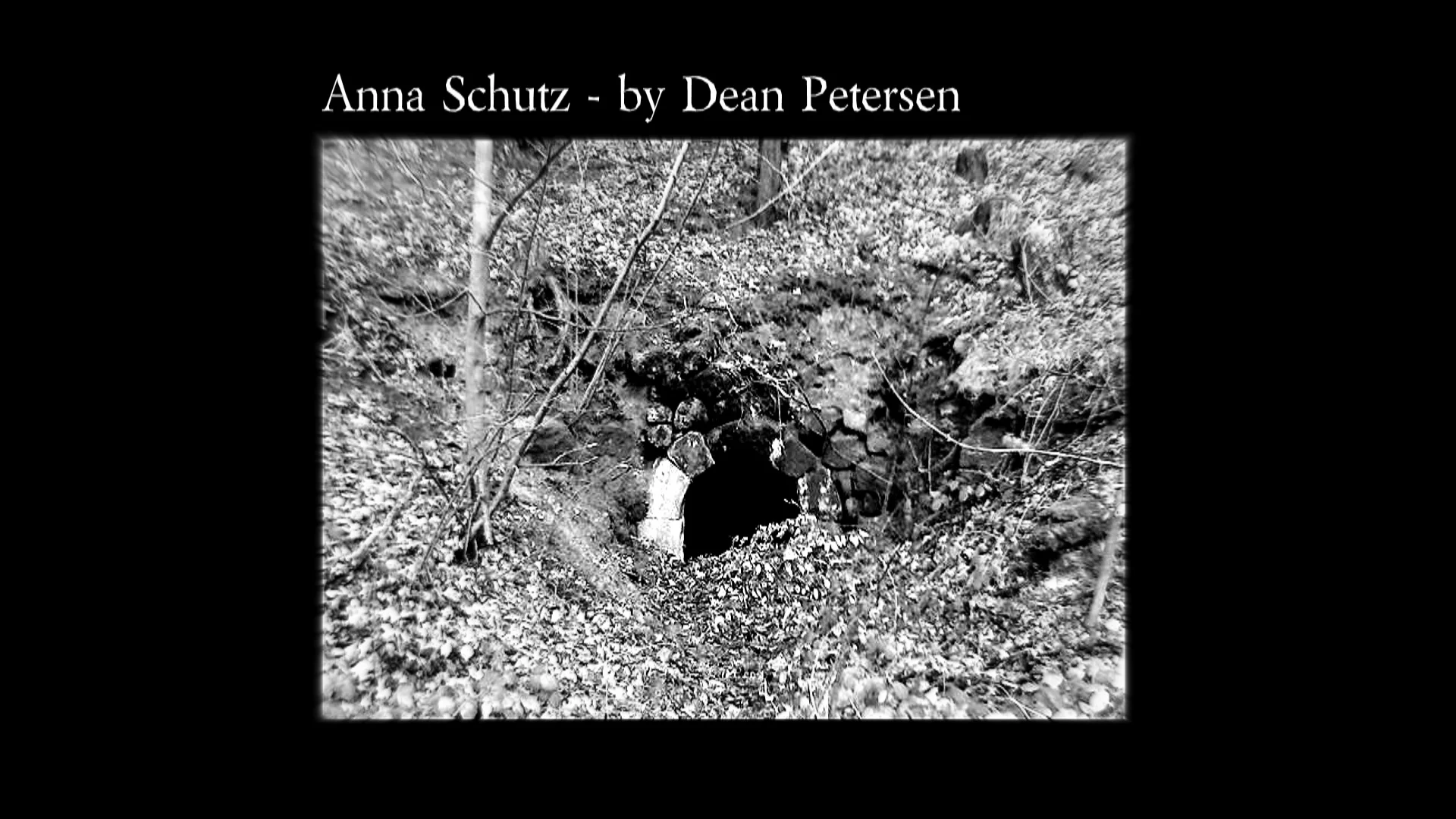 Ann Schutz General Still.jpg