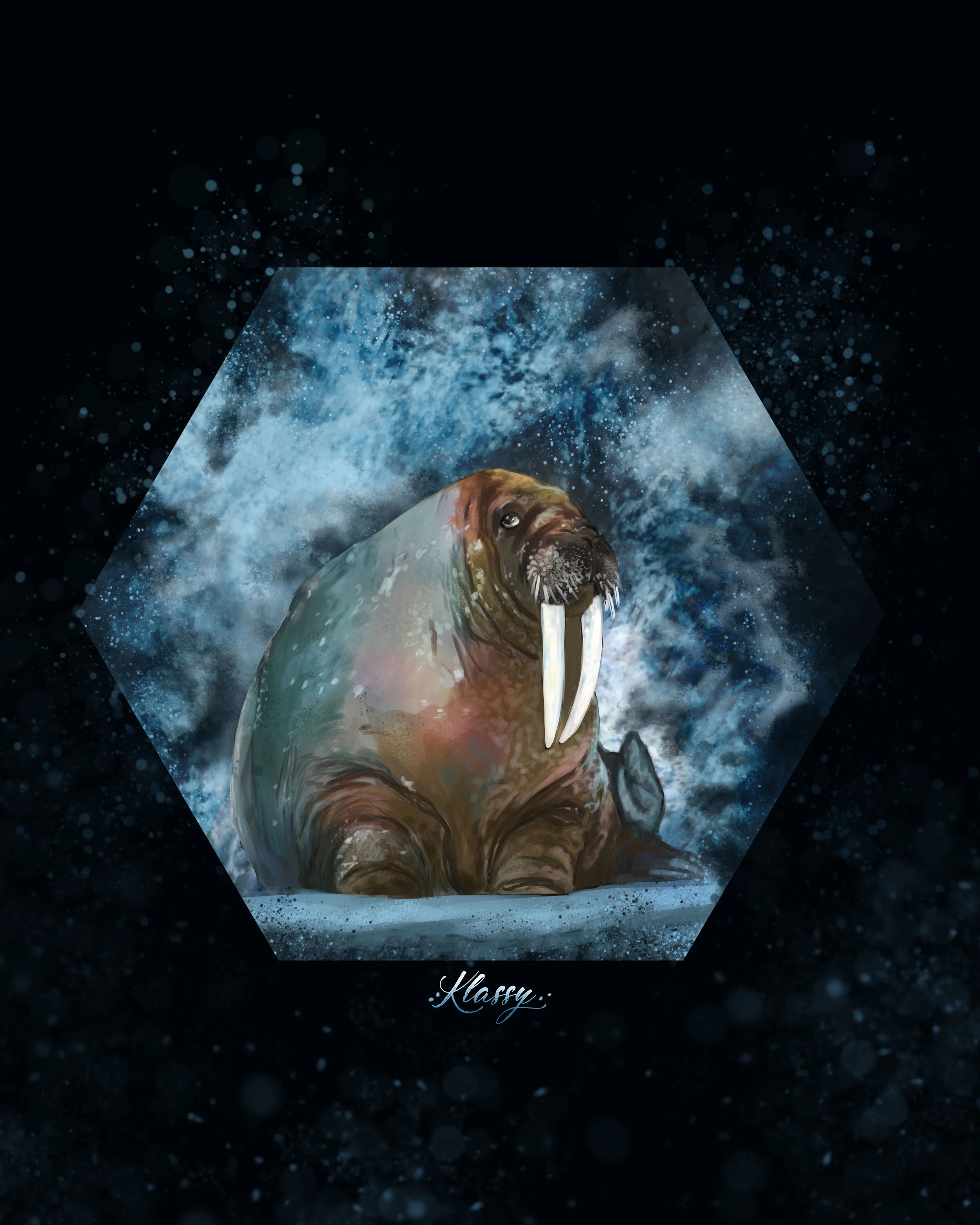 Walrus Hexagon Print By Artist Kayla Klassy