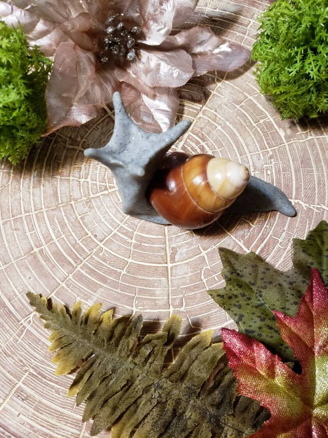 Large Hand Sculpted Snail Real Snail Shell By Artist Kayla Klassy