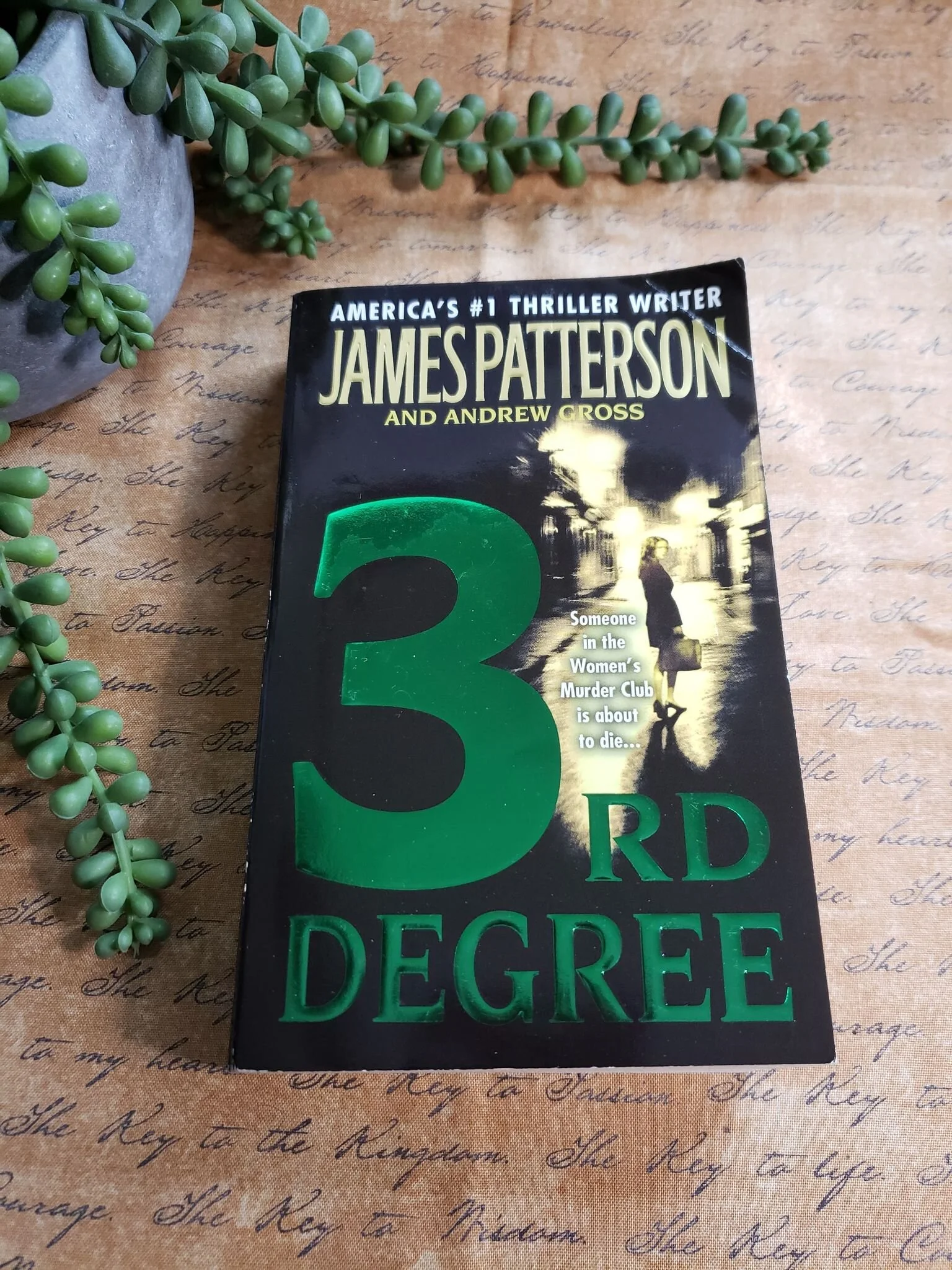 Thriller - "3rd Degree" By James Patterson