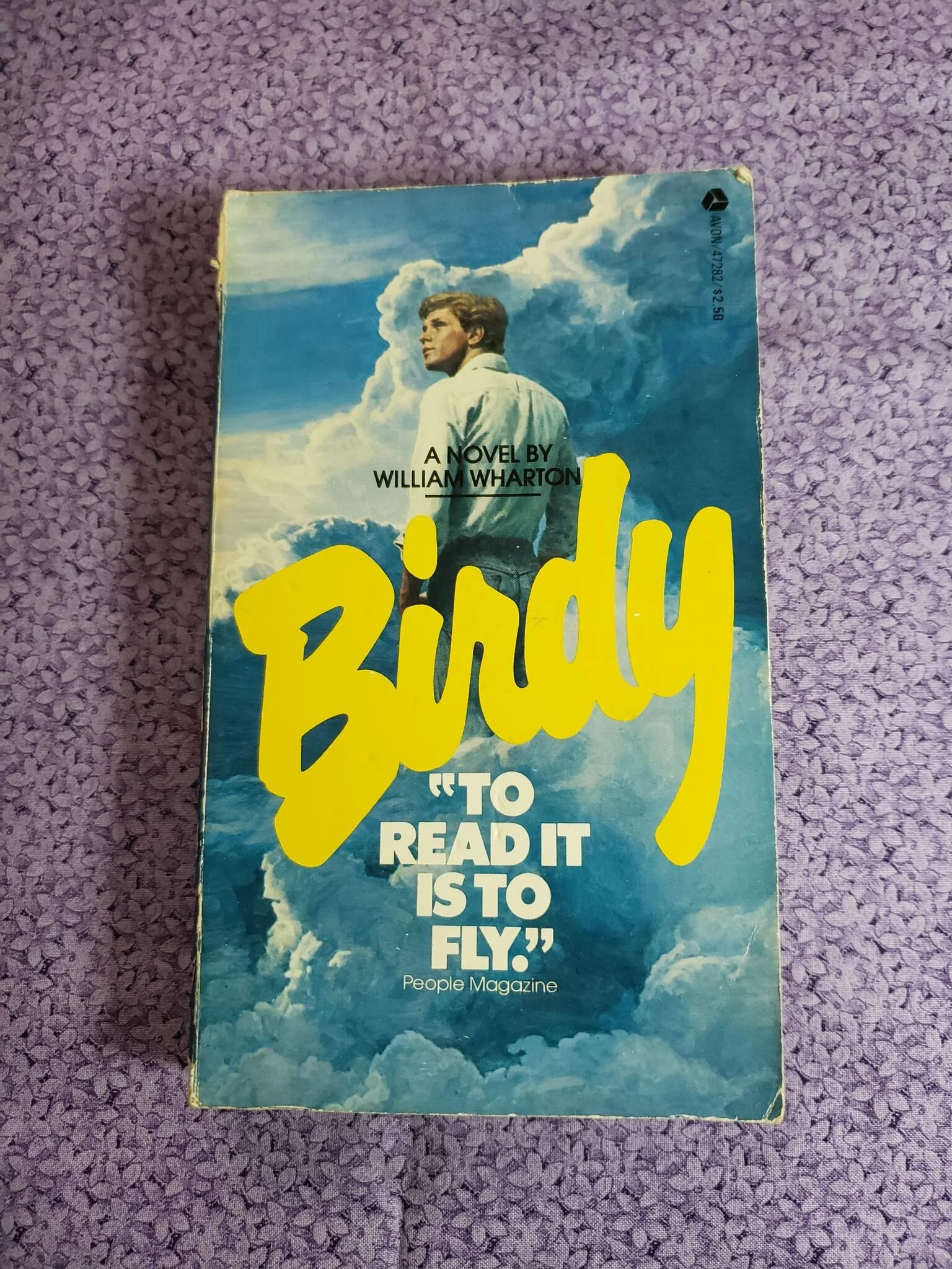 Fiction - Birdy by William Wharton