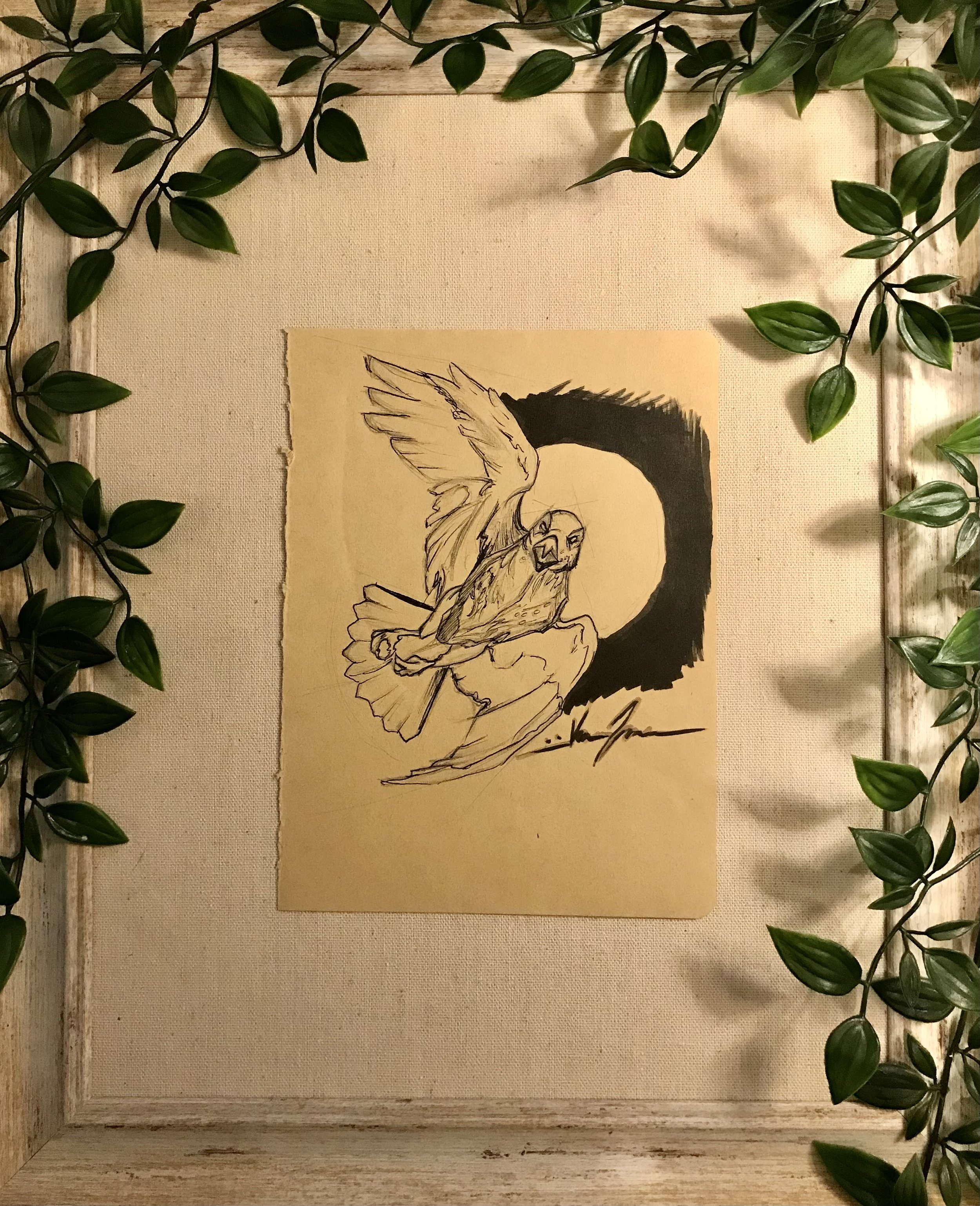 Hawk Sketch 2017 By Artist Kayla Klassy