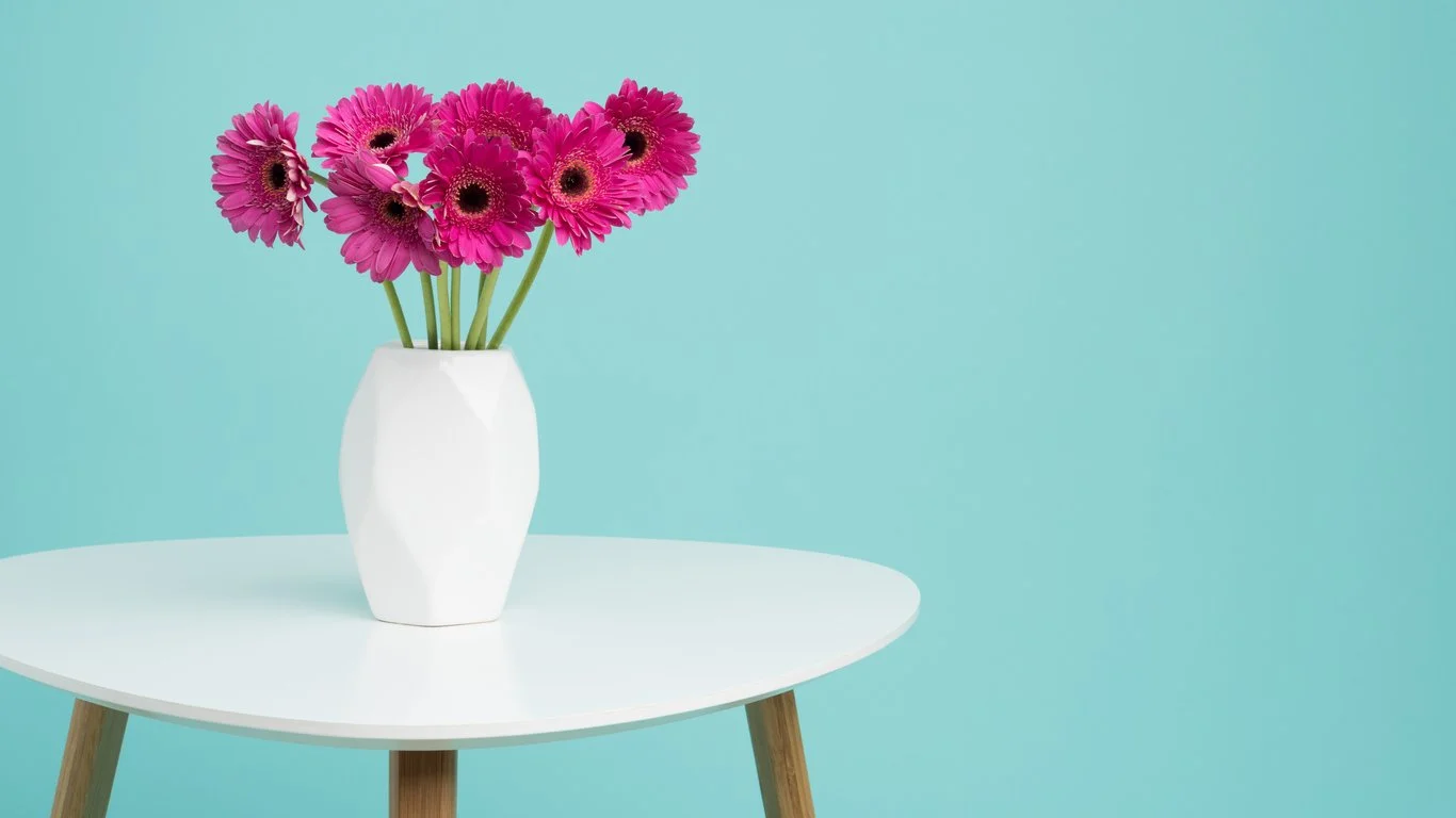 Gerber daisy on table.jpg