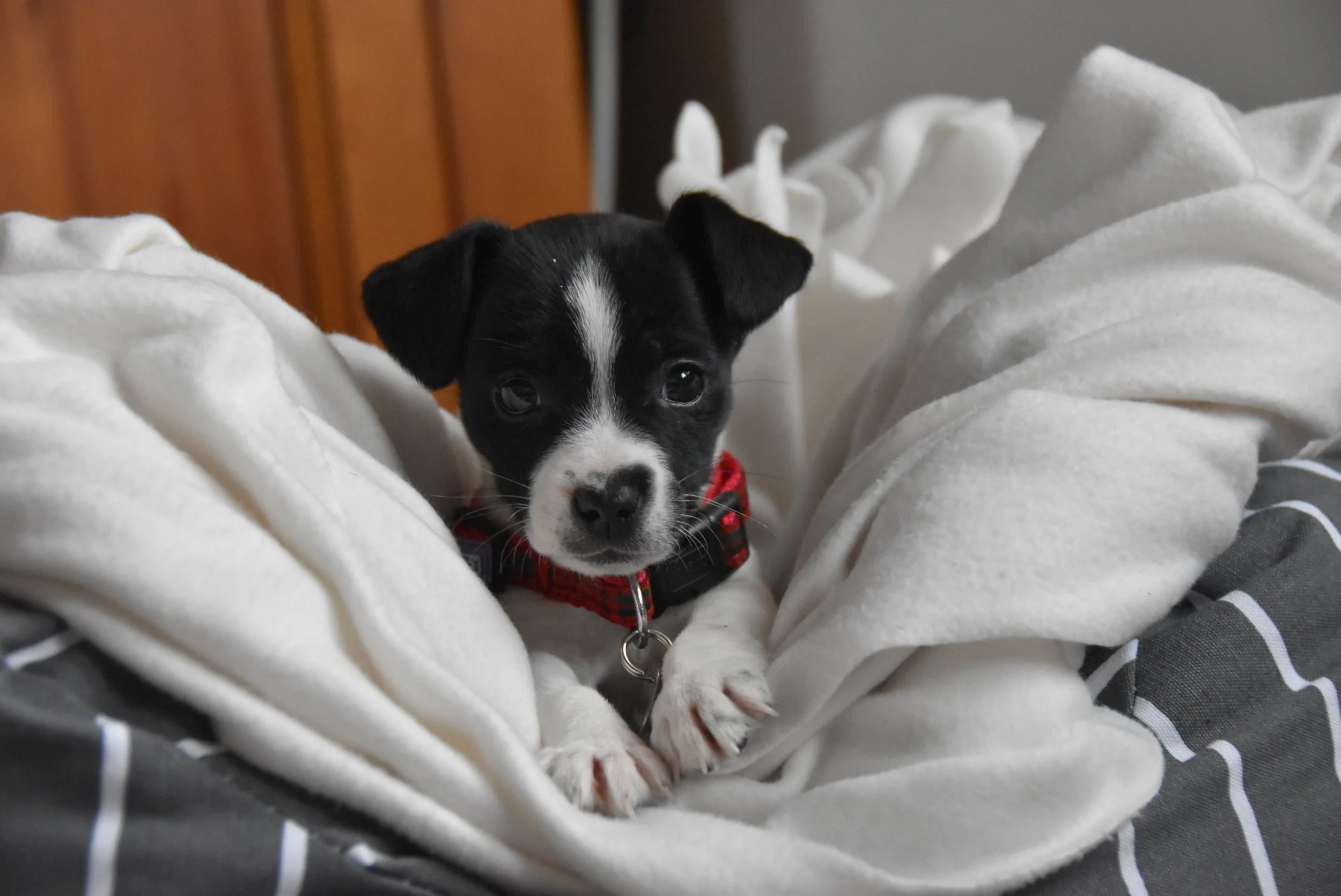 Life at the moment :: Musings from February and March